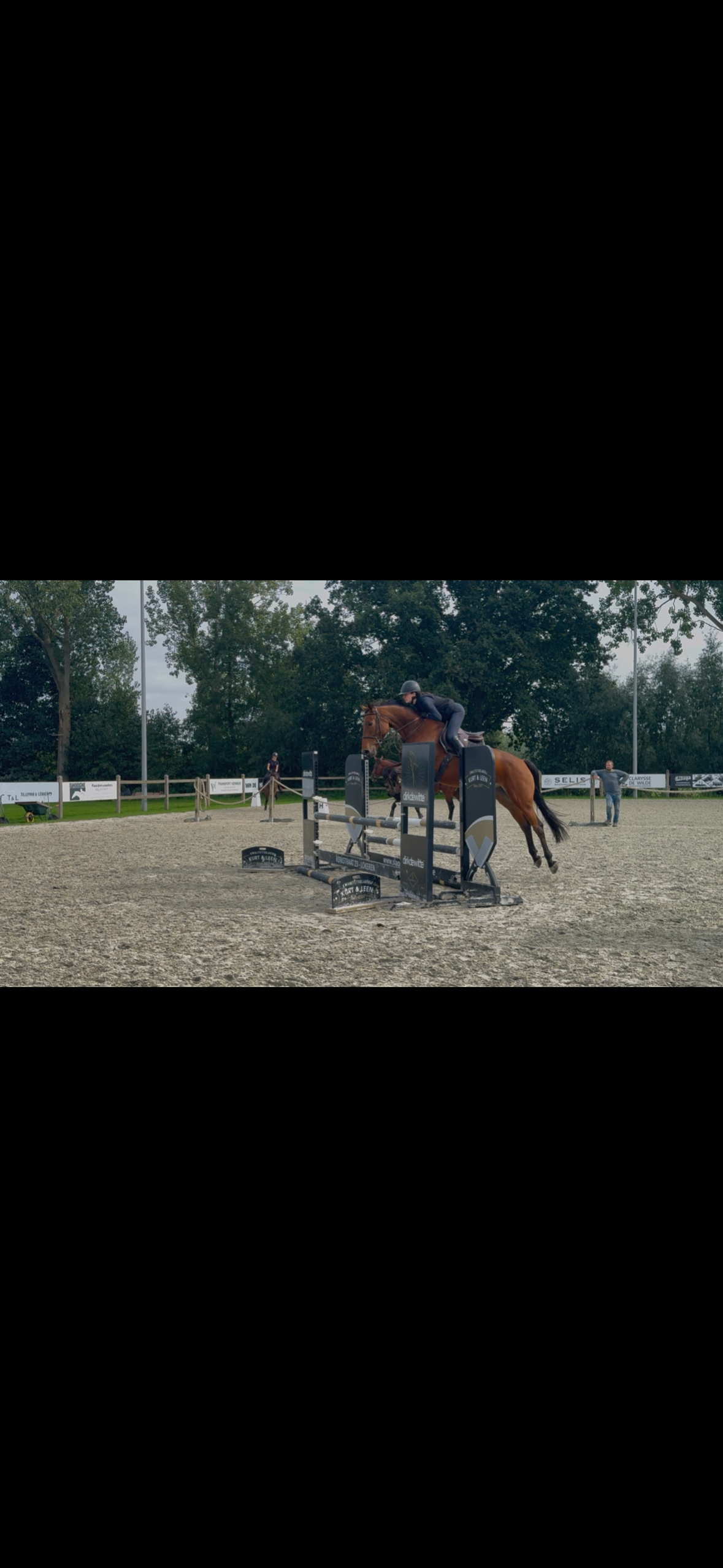 zangersheide springpaard merrie 5 سنوات للبيع - صورة 6