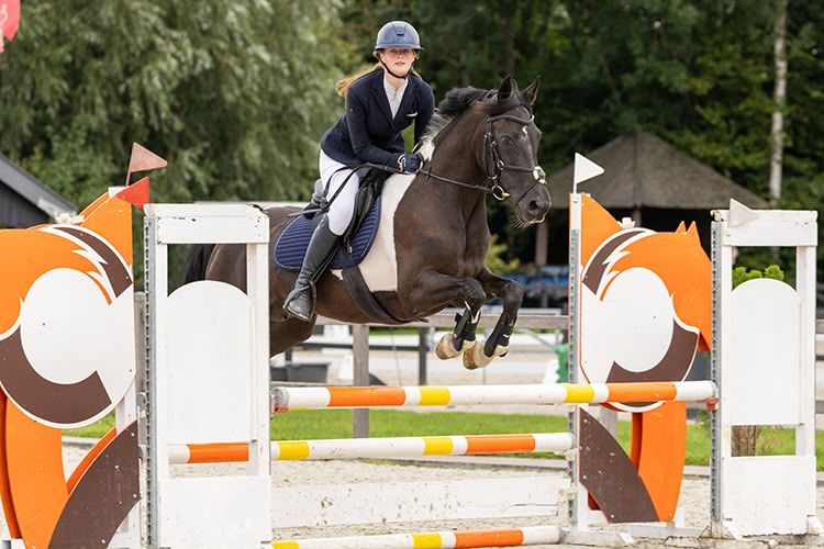 Mångsidig skäck E-ponny sto – 1,54 m