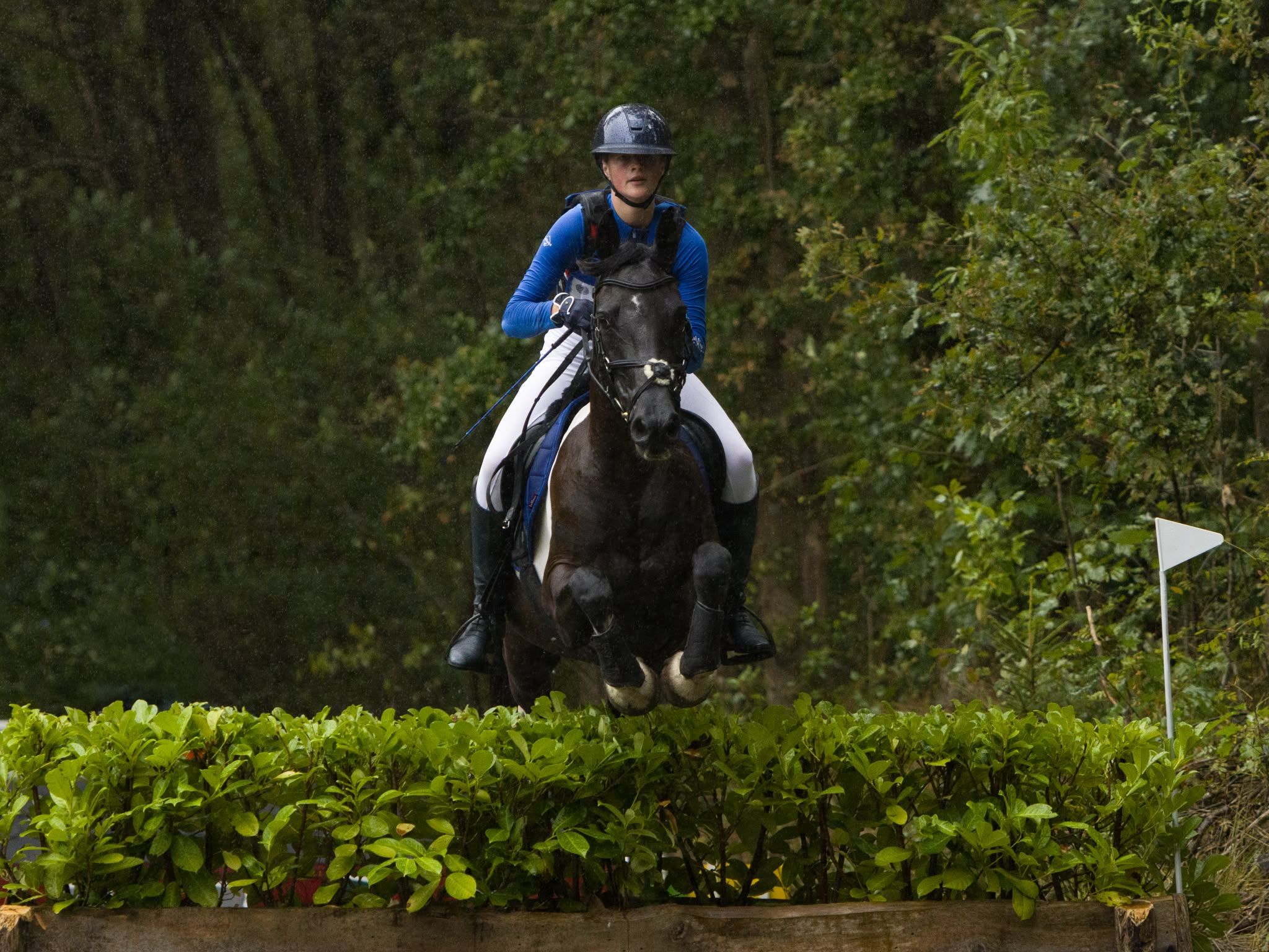 allround-pony merrie 17 år andere-kleur till salu - Foto 2