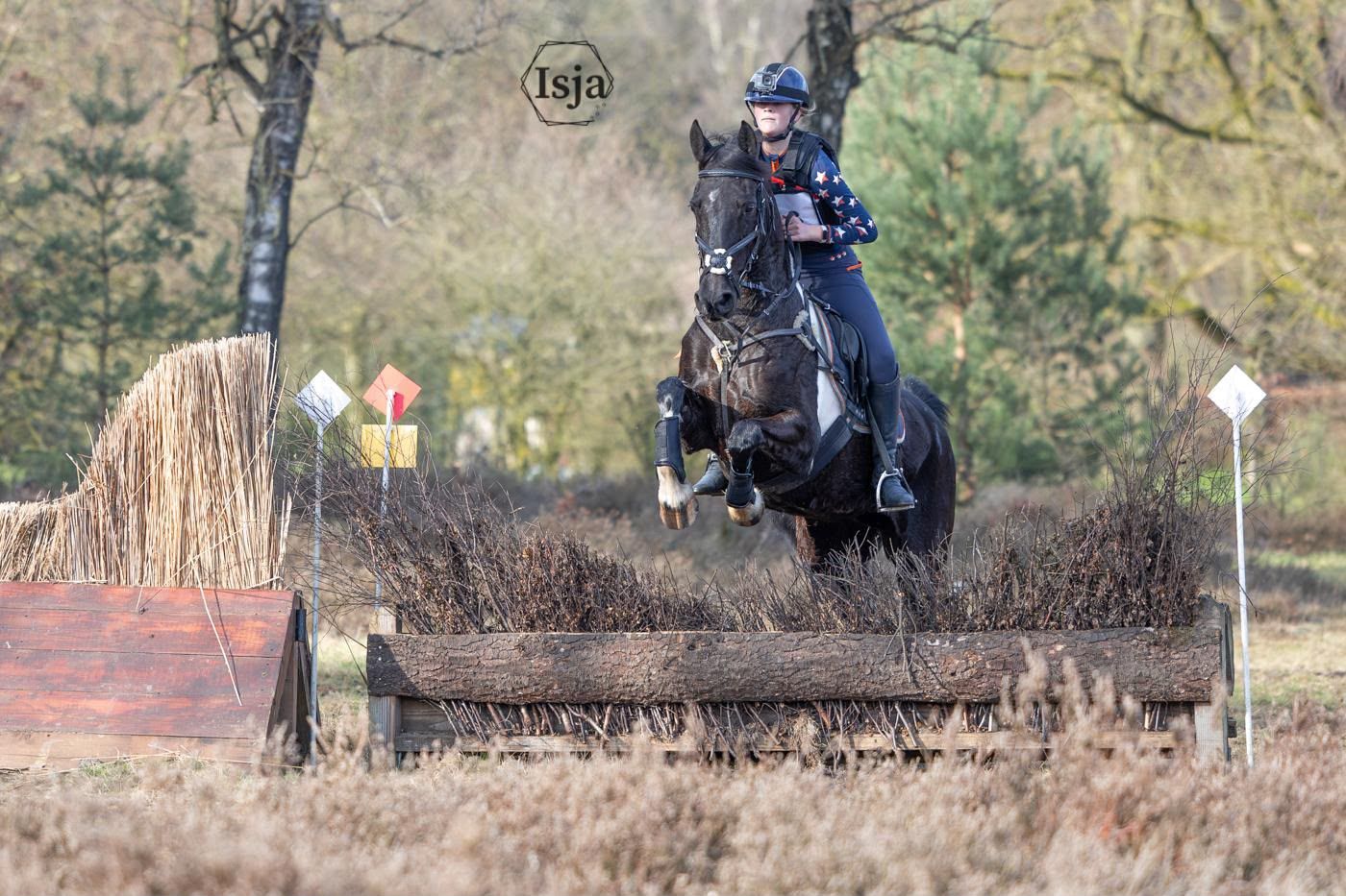 allround-pony merrie 17 år andere-kleur till salu - Foto 5