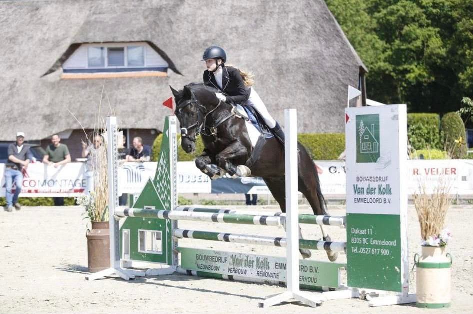 allround-pony merrie 17 år andere-kleur till salu - Foto 3