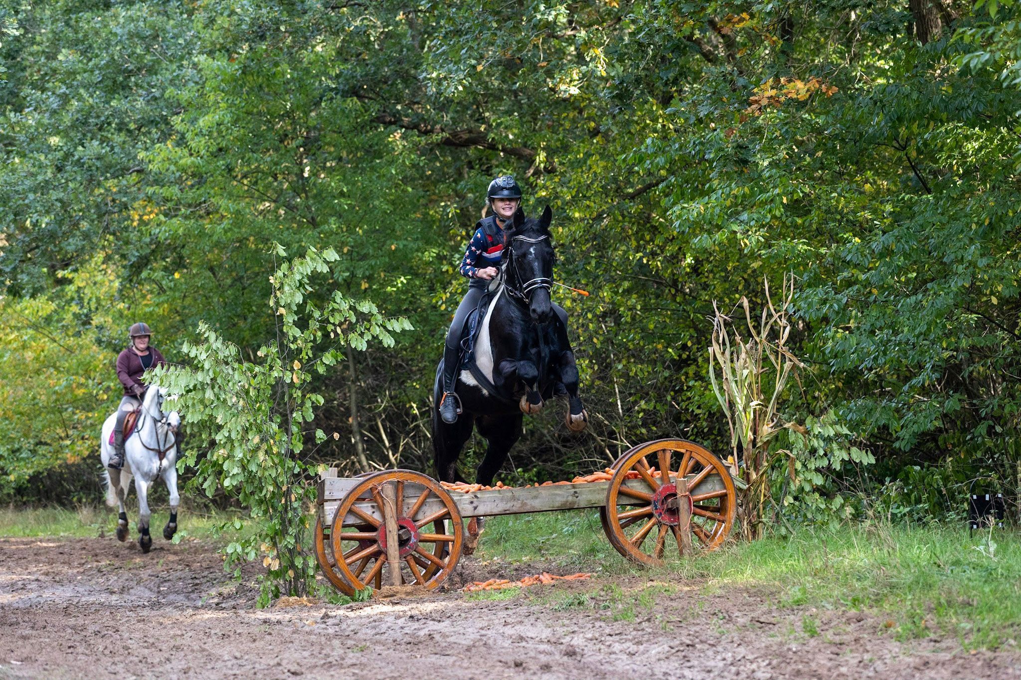 allround-pony merrie 17 år andere-kleur till salu - Foto 4
