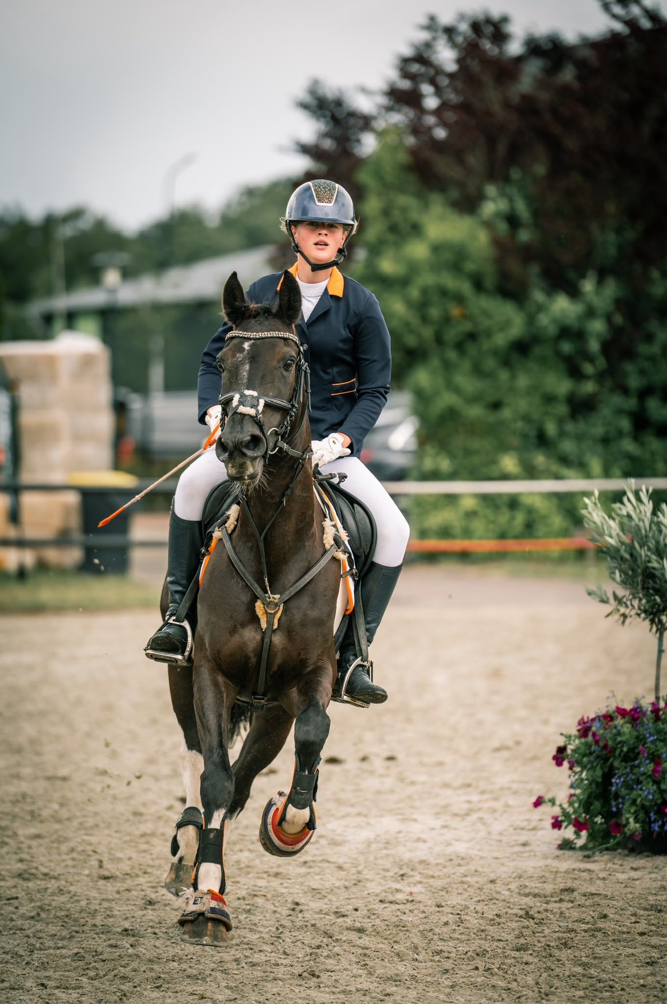allround-pony merrie 17 år andere-kleur till salu - Foto 6