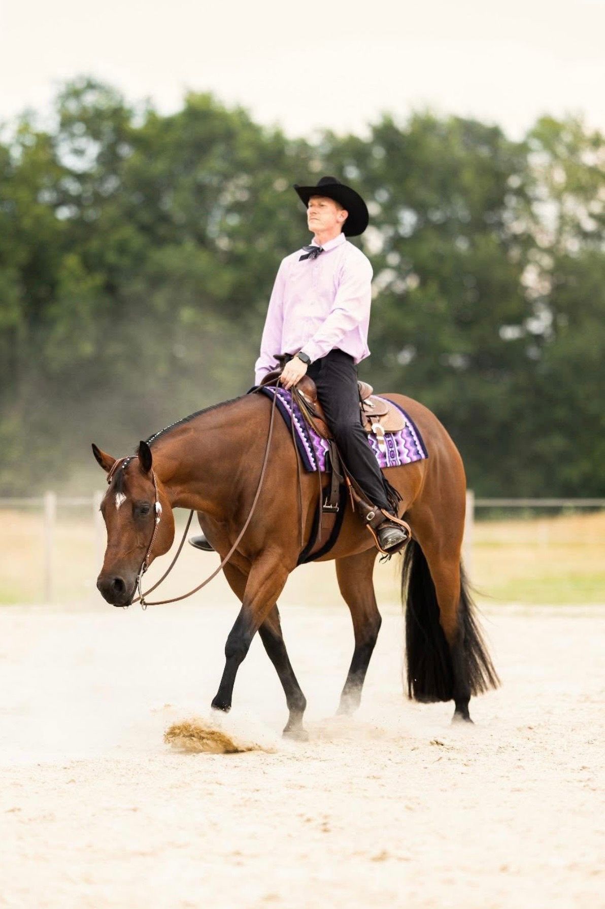 quarter-horse western-paard ruin 7 år bruin till salu - Foto 5