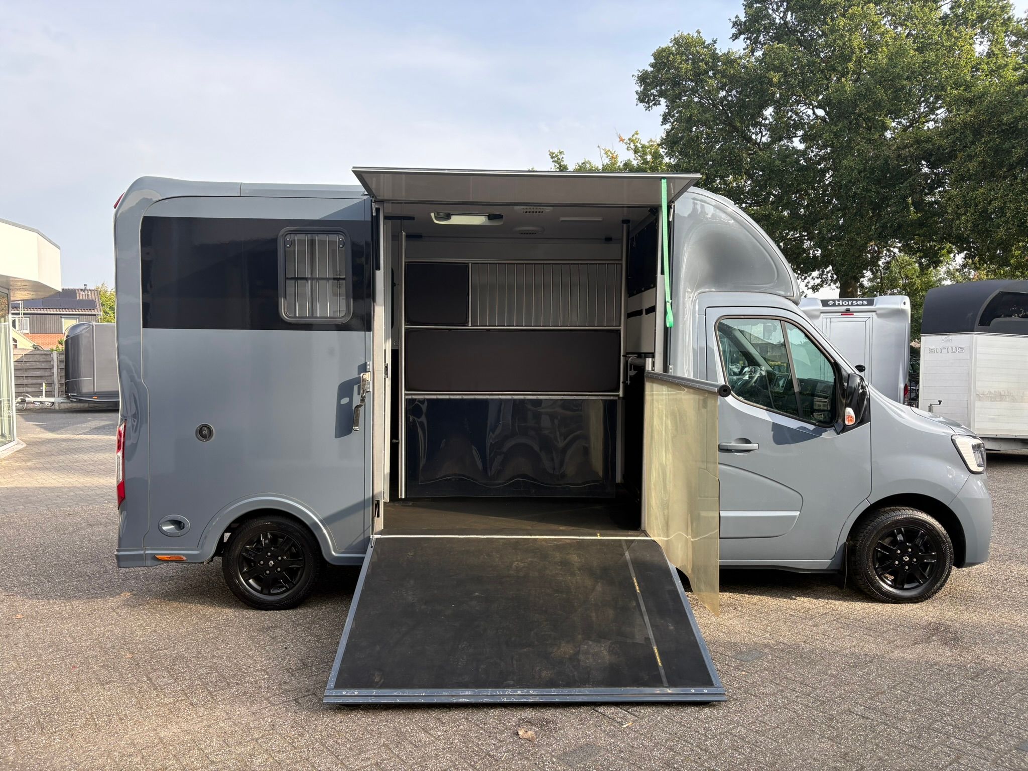 Grijs te koop - Foto 6