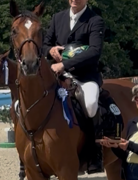 competitieve 6 jarige BWP merrie met reeds een mooi winnaars palmares tem 130