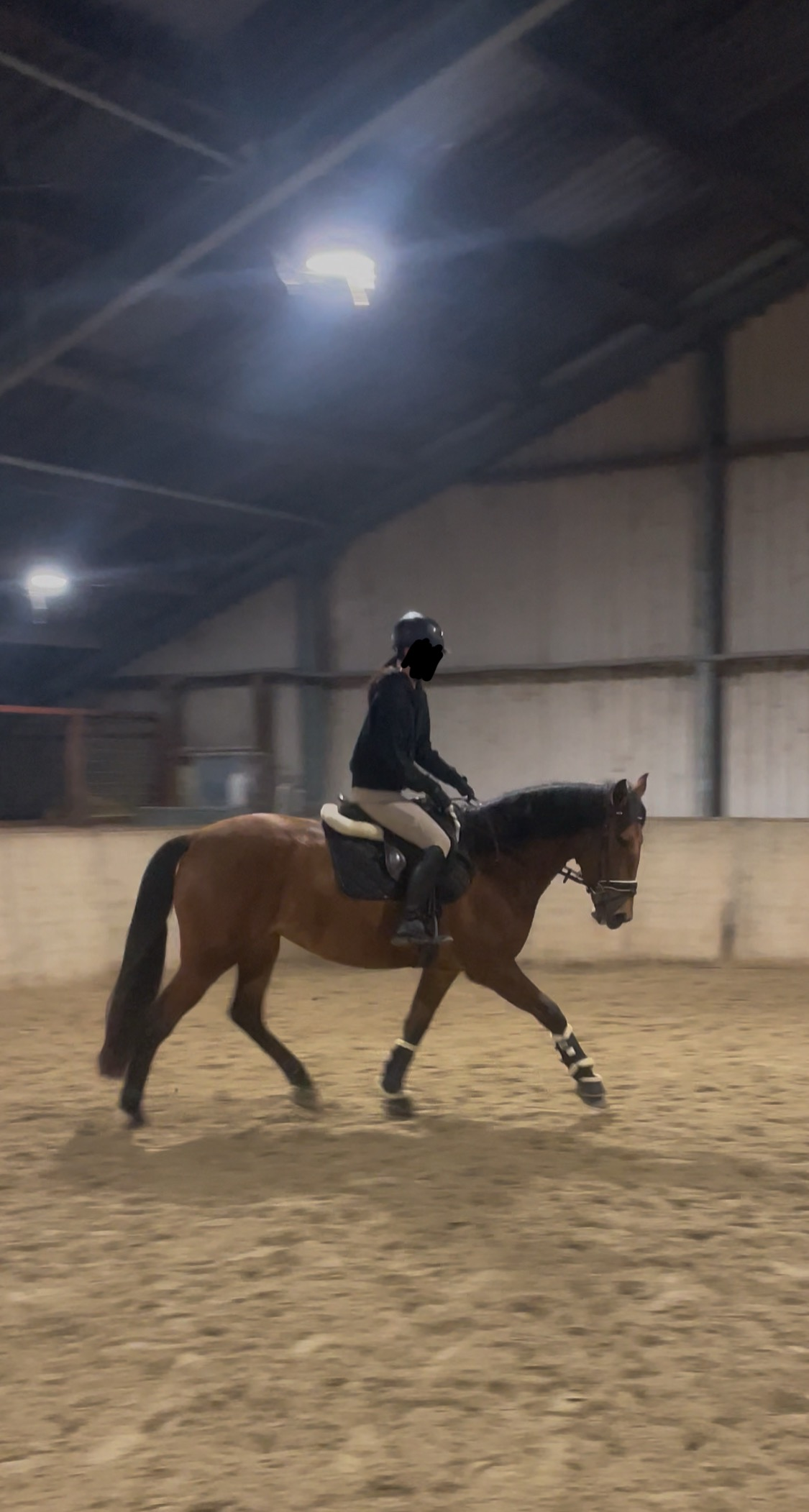 dressuurpaard merrie 4 años bruin en venta - Foto 4