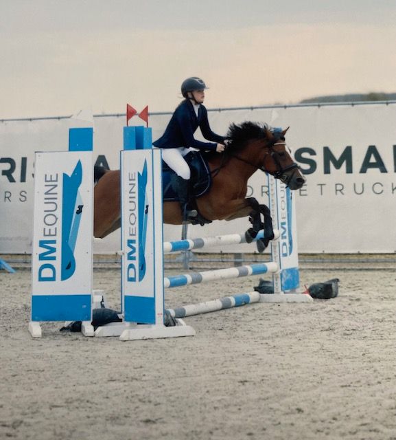 Sportig C-ponny till salu!