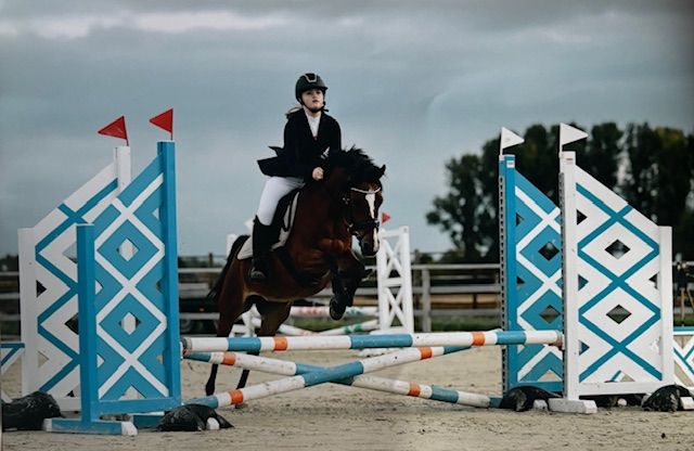 allround-pony merrie 14 år bruin till salu - Foto 6