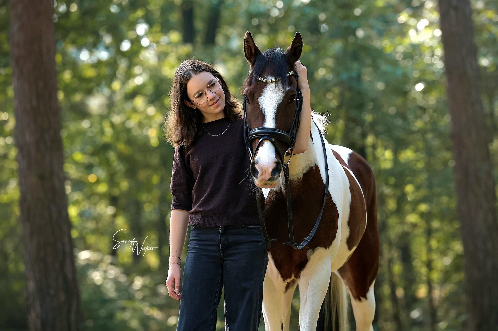 vacker skäck D-ponny