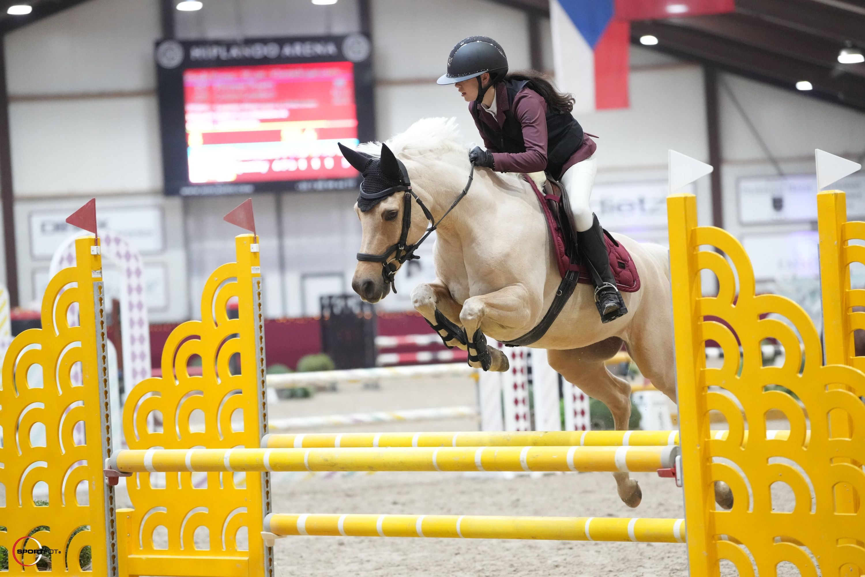 welsh springpony ruin 10 år palomino till salu - Foto 2