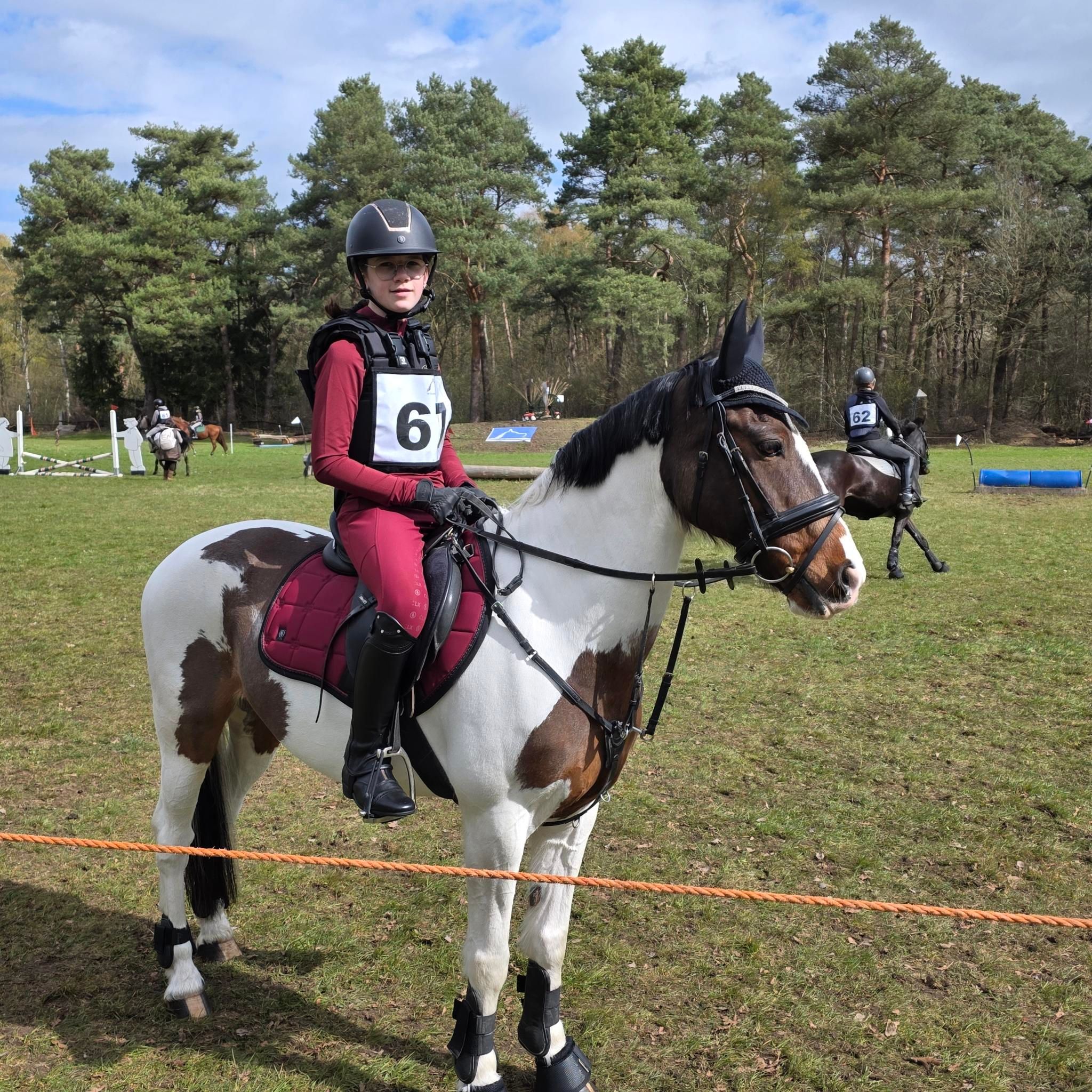 allround-pony ruin 17 år andere-kleur till salu - Foto 4