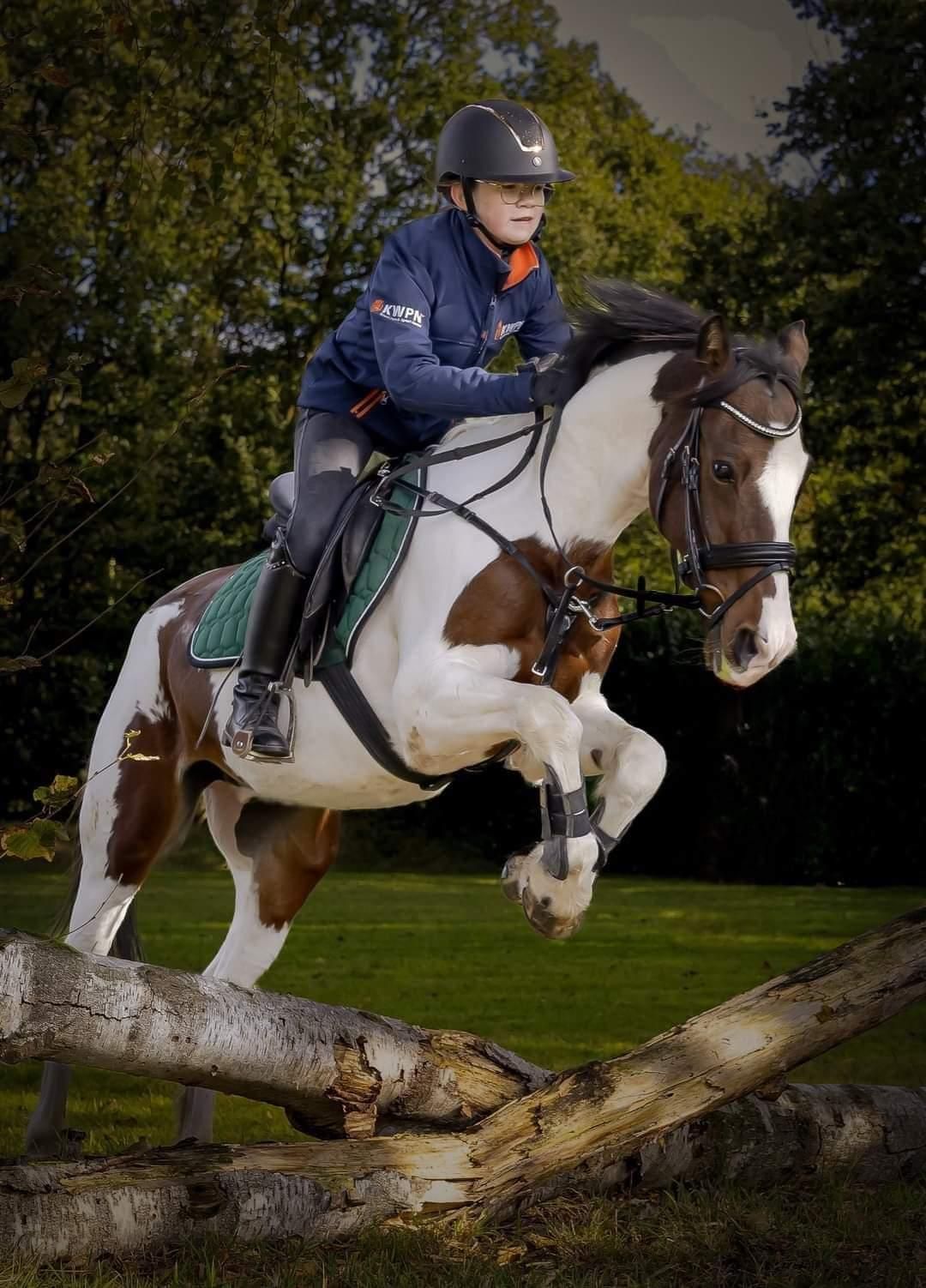 allround-pony ruin 17 år andere-kleur till salu - Foto 2