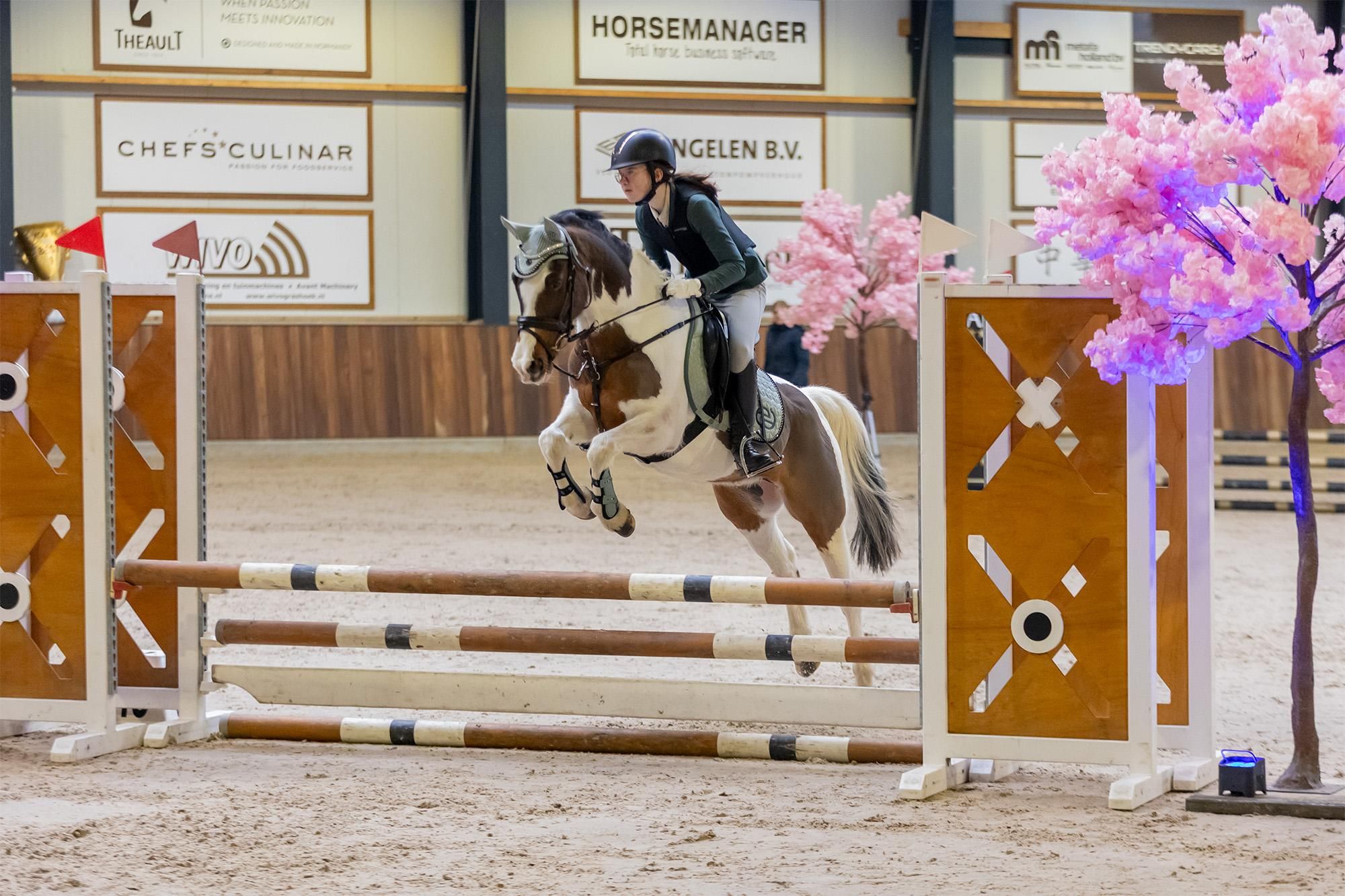 allround-pony ruin 17 år andere-kleur till salu - Foto 6