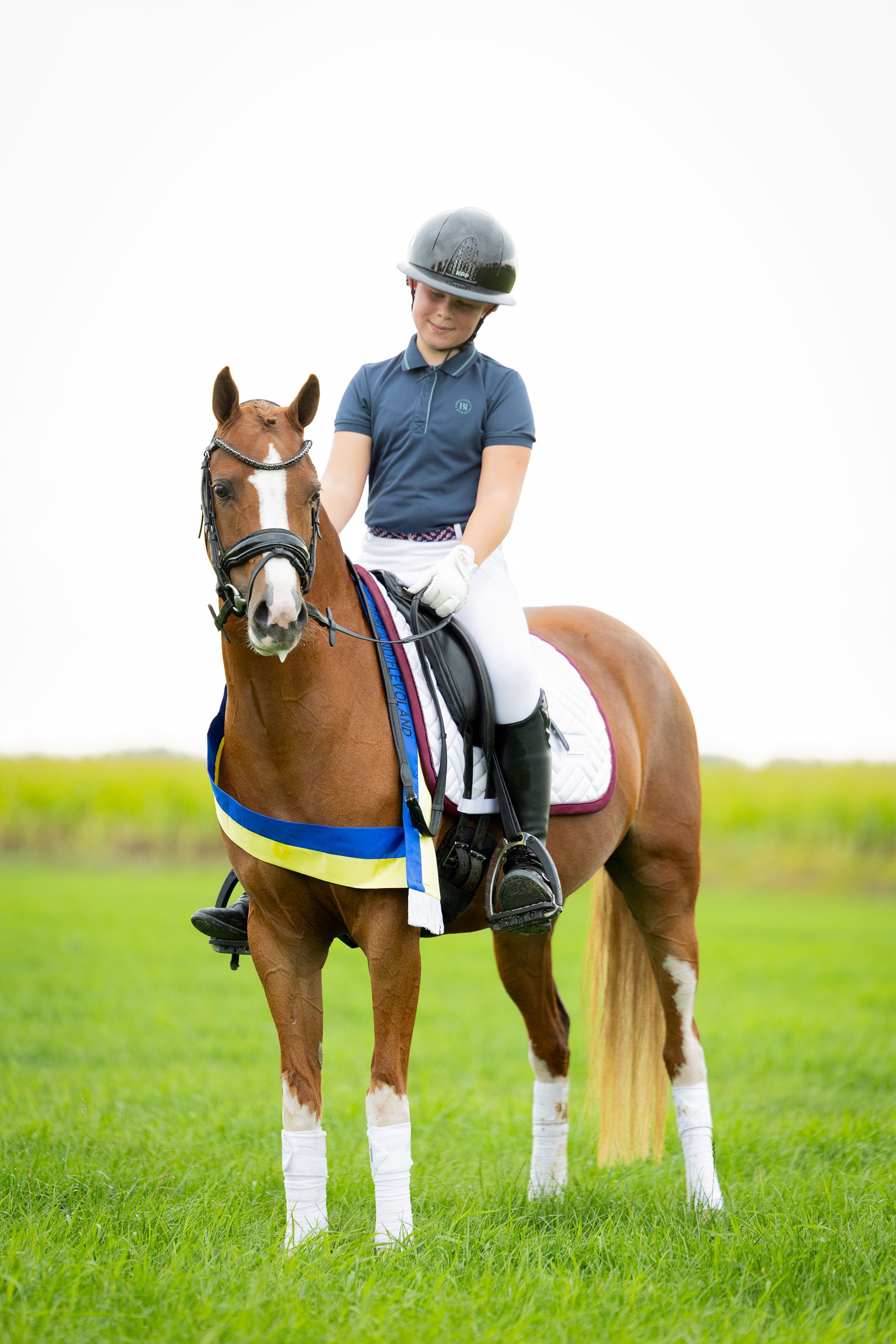 dressuurpony ruin 4 år till salu - Foto 5
