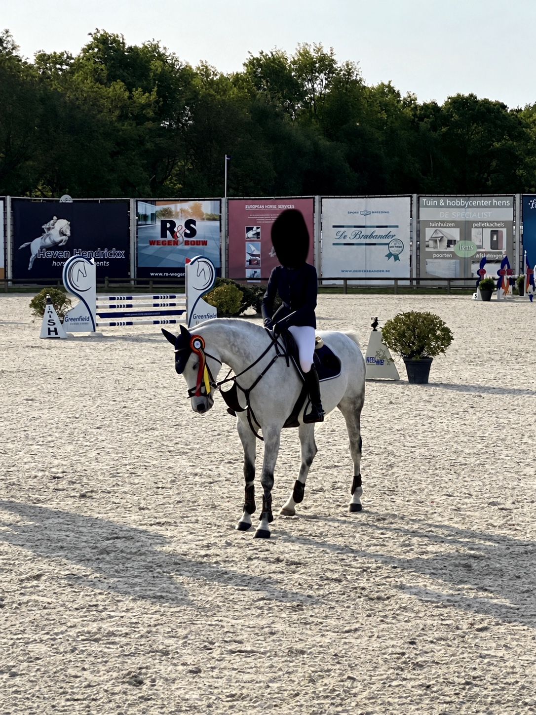 zangersheide recreatie-paard merrie 15 سنوات schimmel للبيع - صورة 3