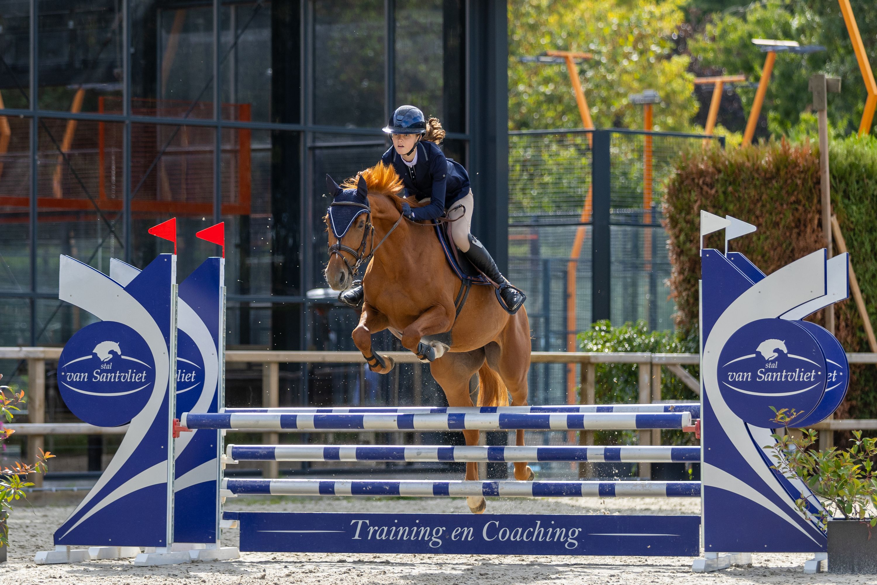 top fijne springpony
