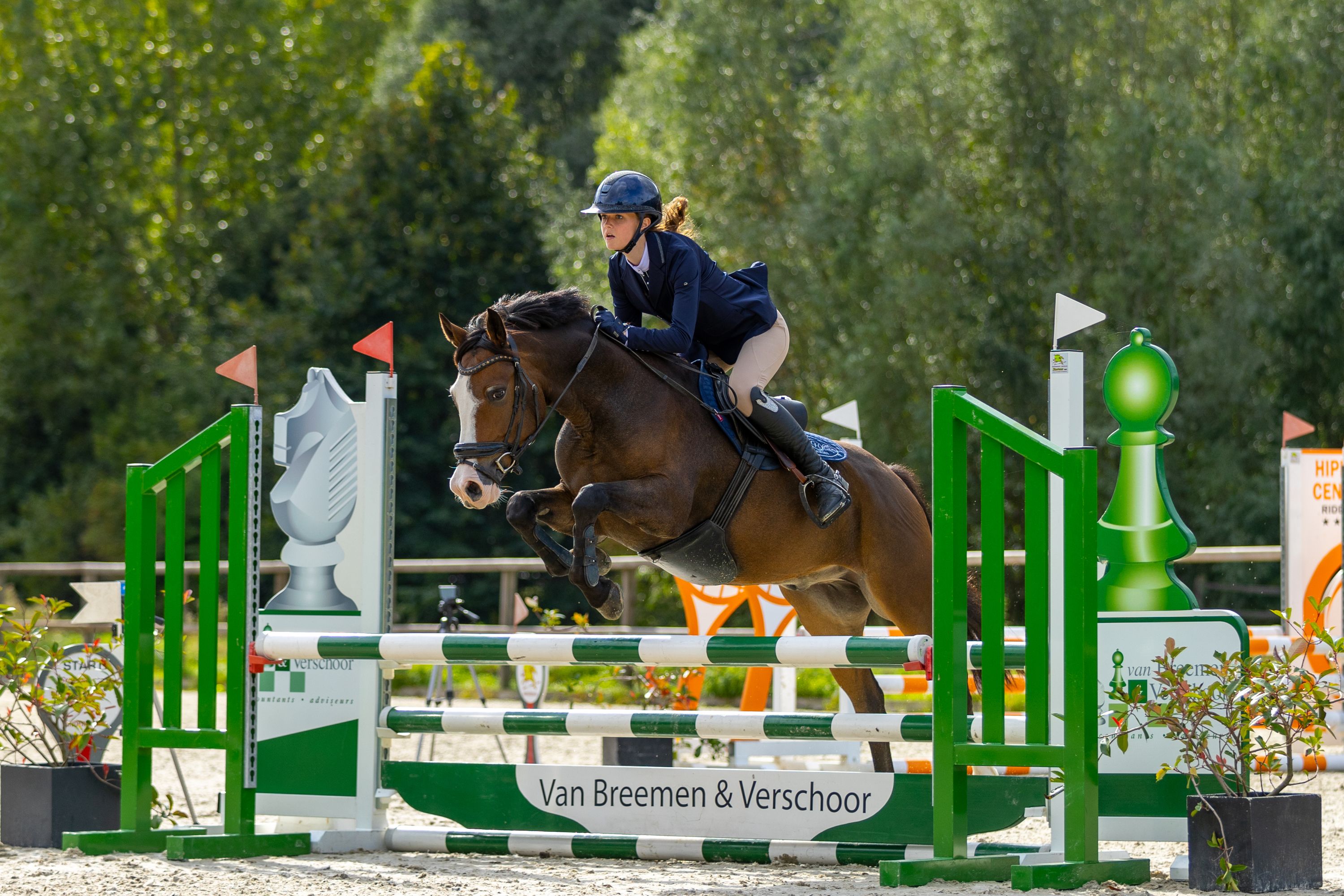 super fijne springpony