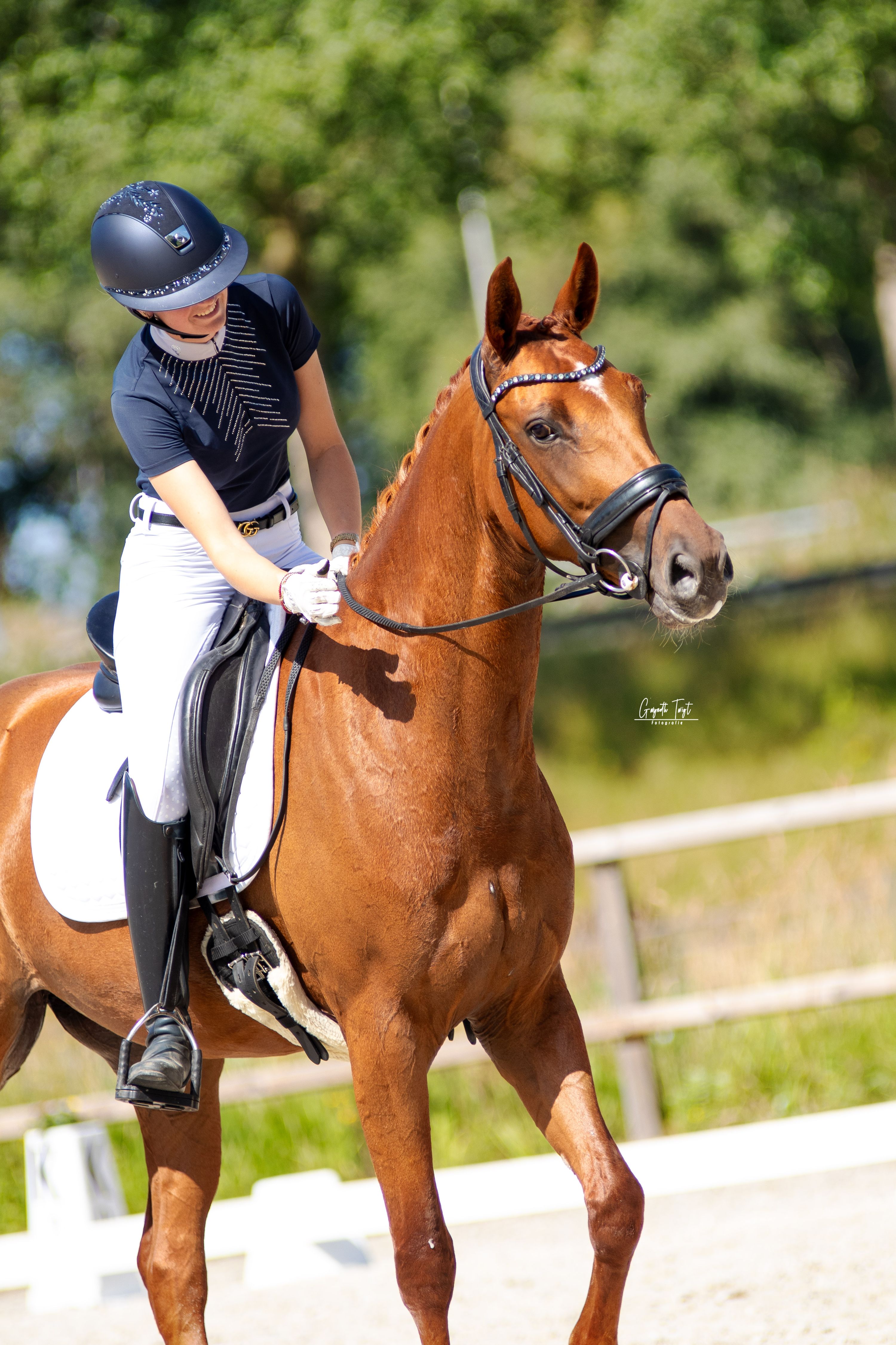 kwpn dressuurpaard merrie 8 lat vos na sprzedaż - Zdjęcie 2