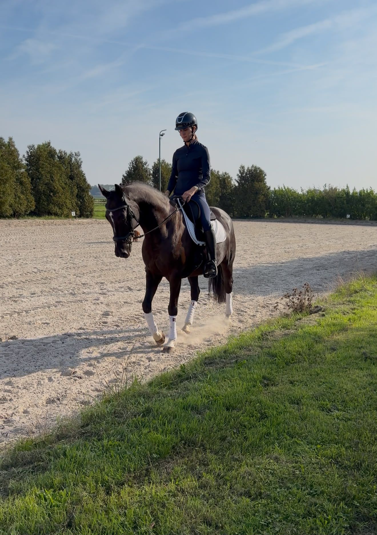 kwpn dressuurpaard ruin 11 Jahre alt zwart zu verkaufen - Foto 3