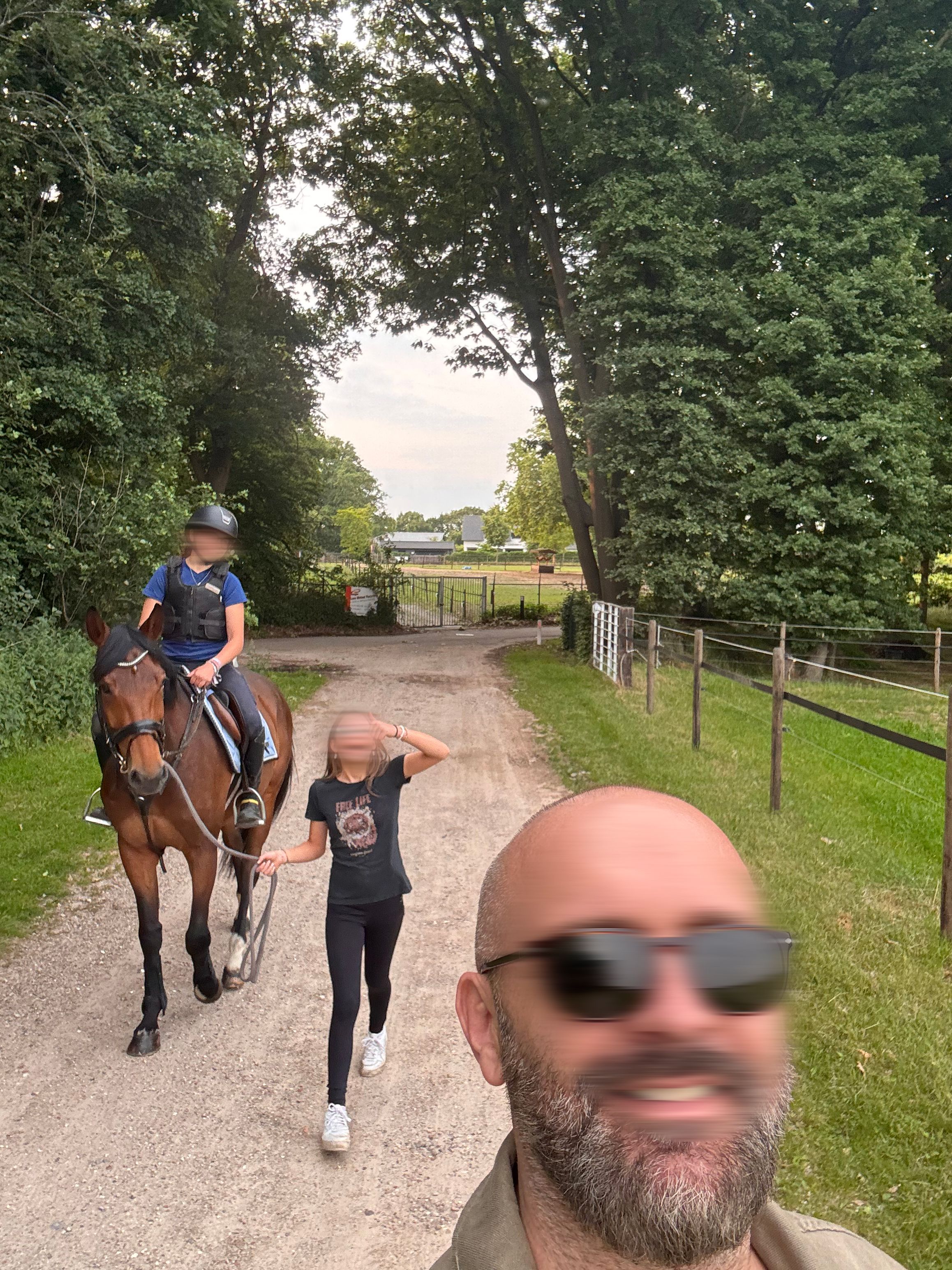 zangersheide dressuurpaard merrie 9 años bruin en venta - Foto 4