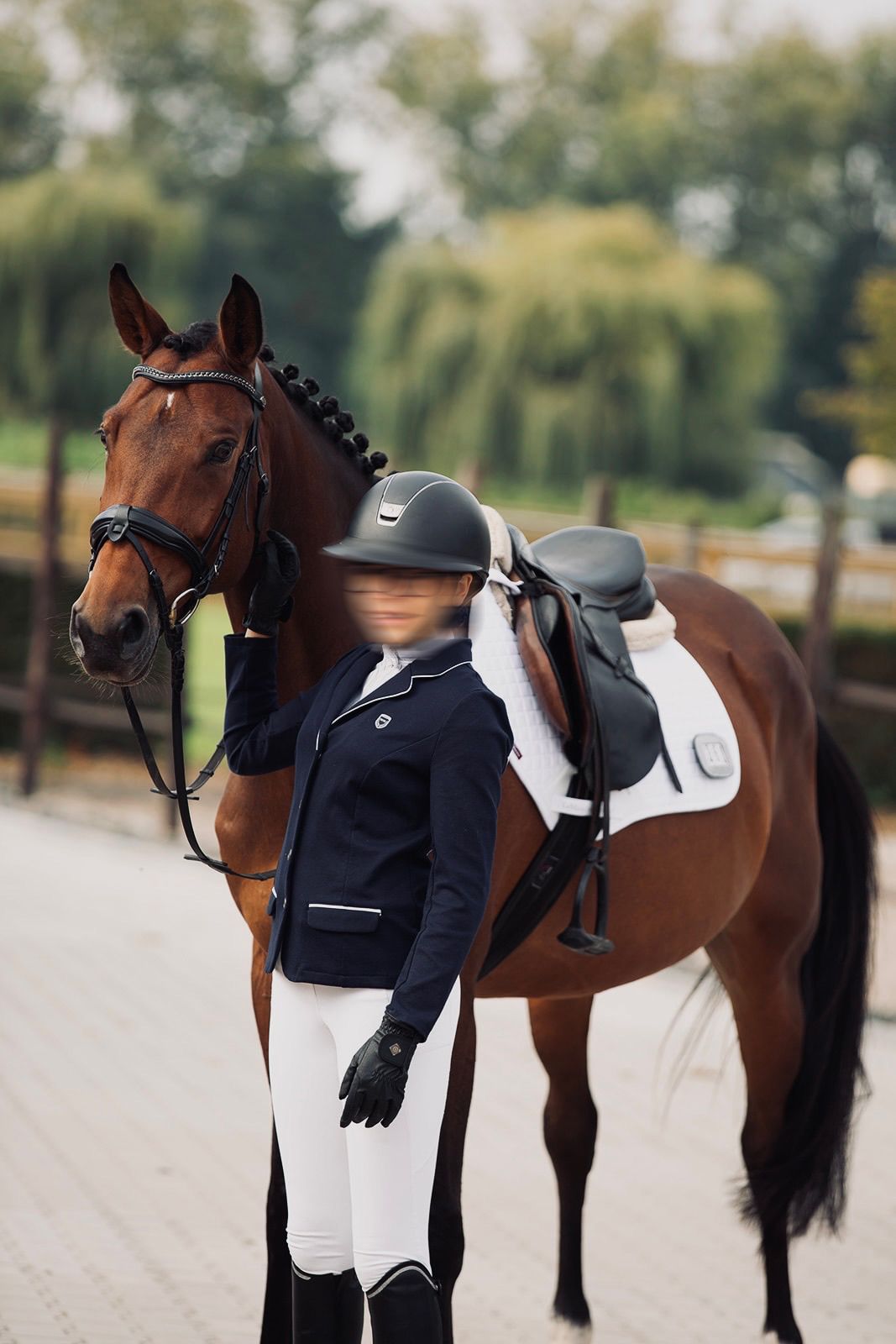 zangersheide dressuurpaard merrie 9 años bruin en venta - Foto 3