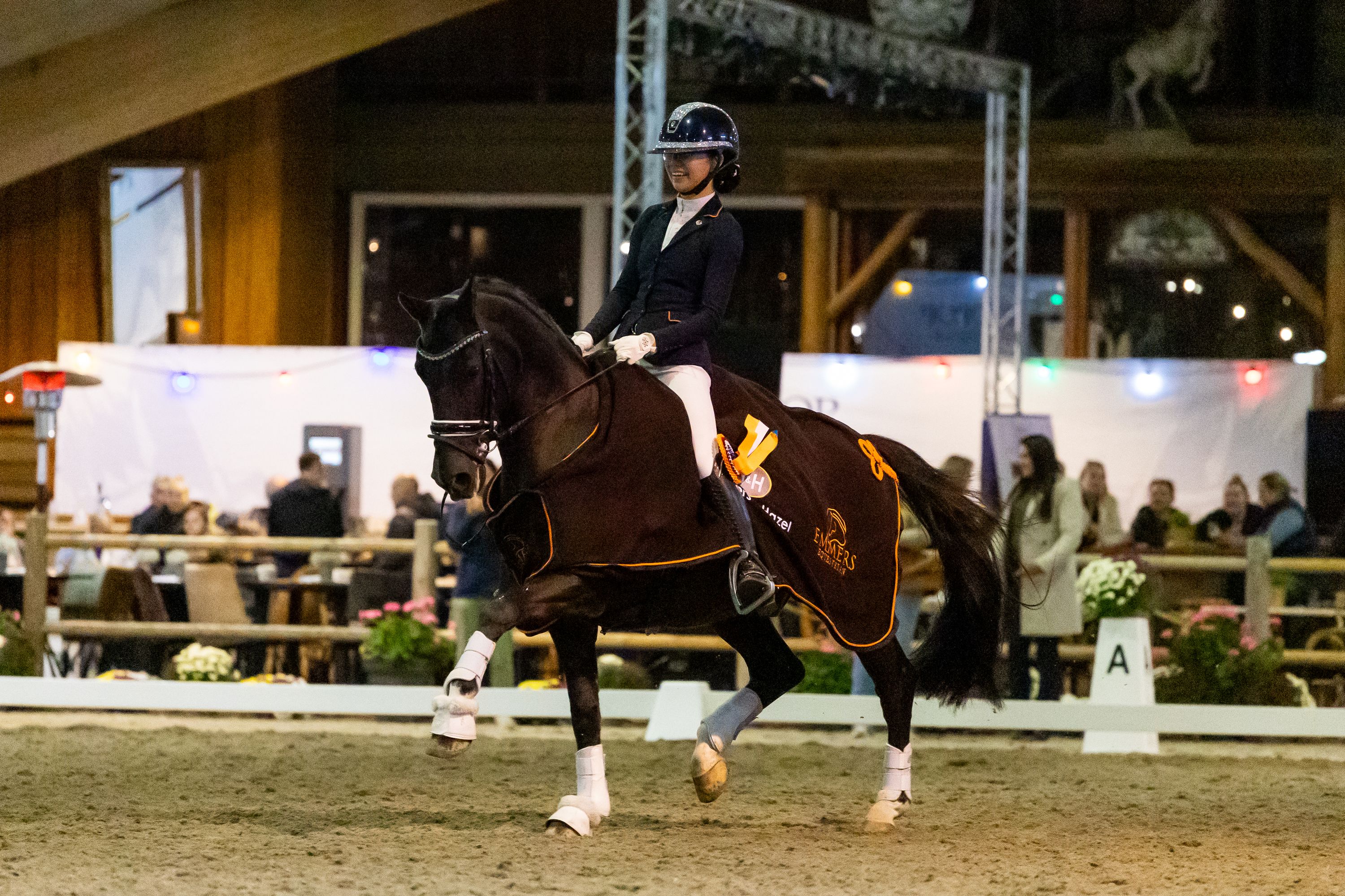 Poni de Campeonato de Europa FEI en venta
