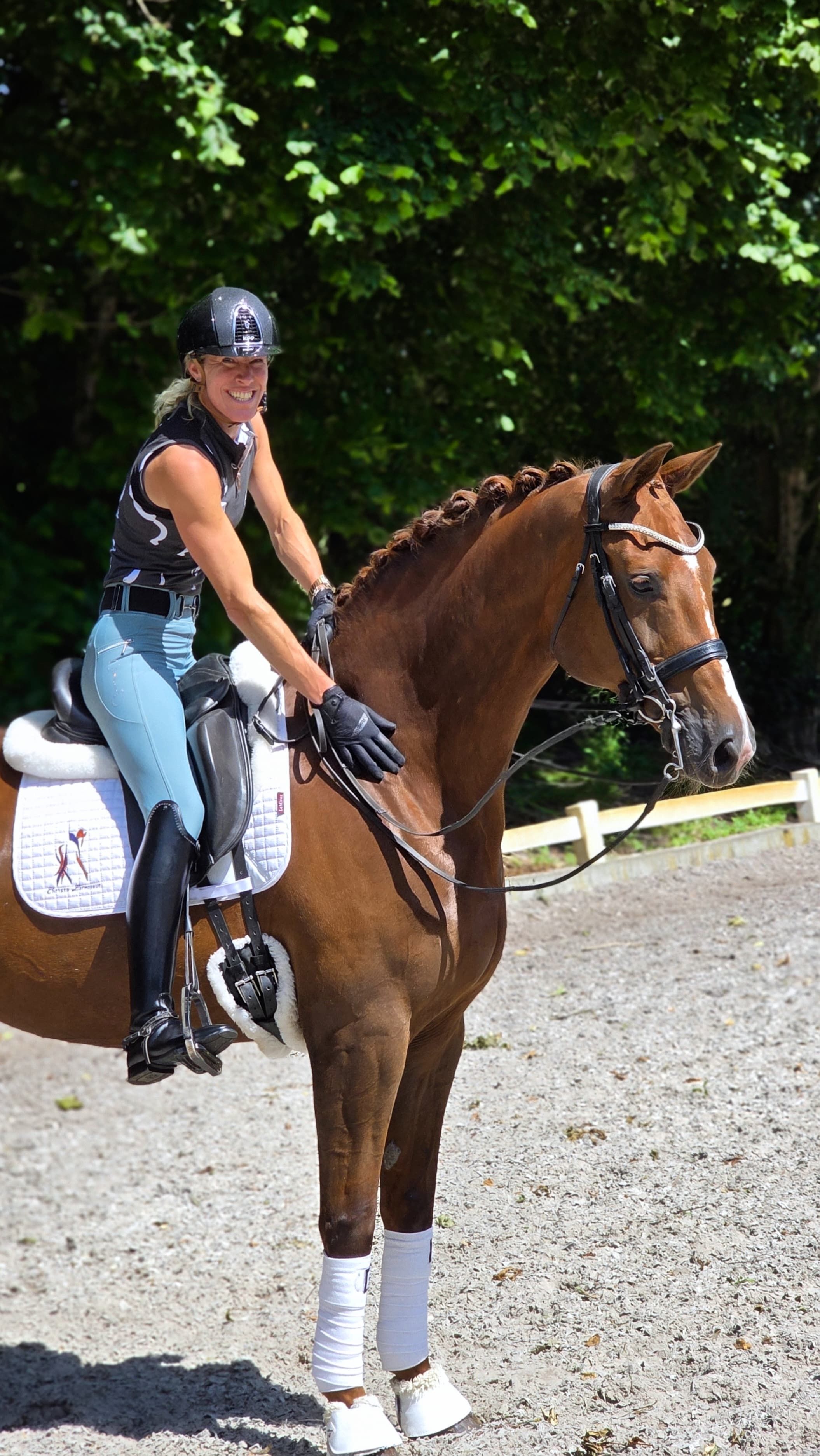kwpn dressuurpaard merrie vos for sale - Photo 2