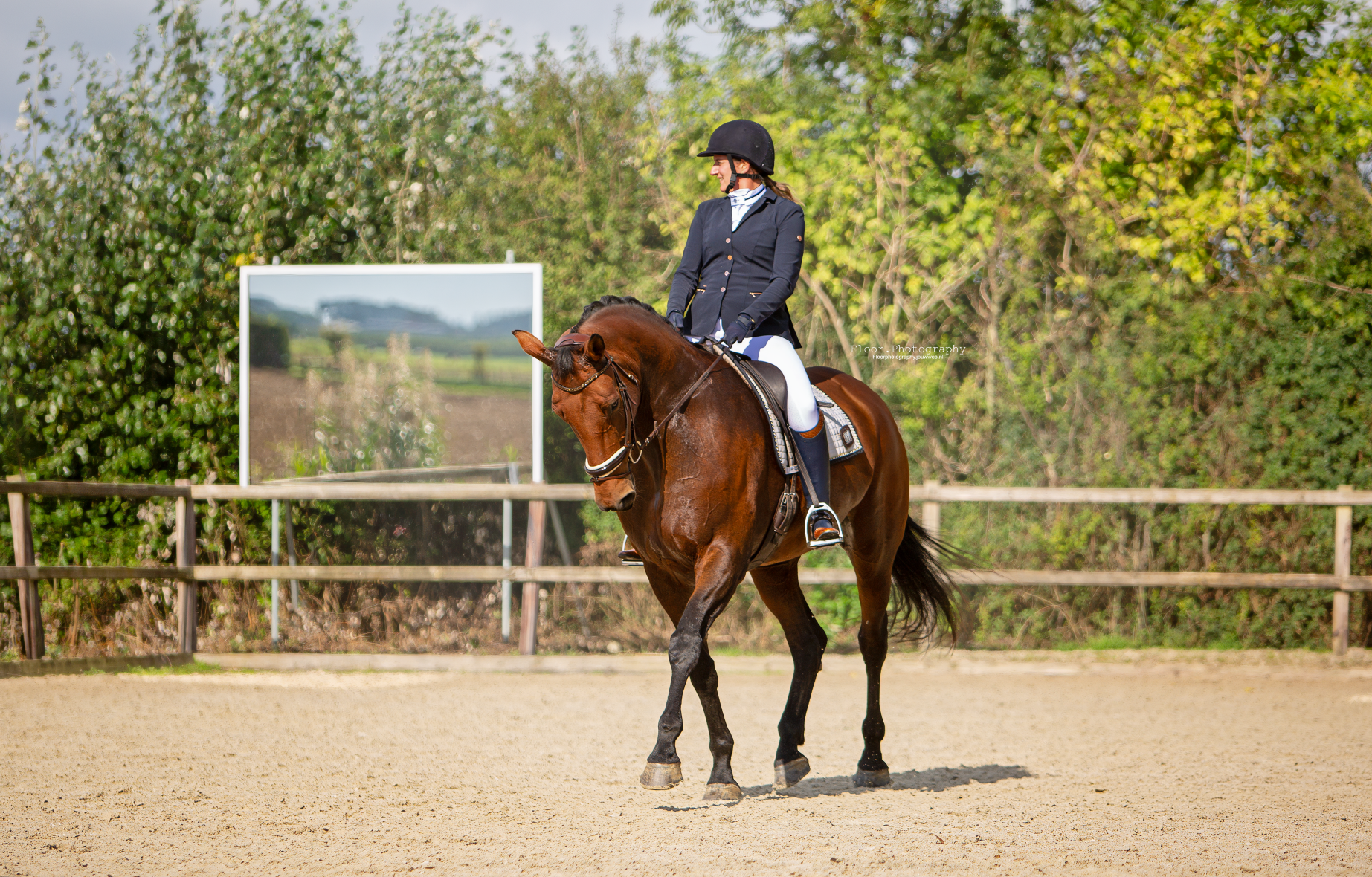 kwpn dressuurpaard merrie 7 jaar bruin te koop - Foto 2