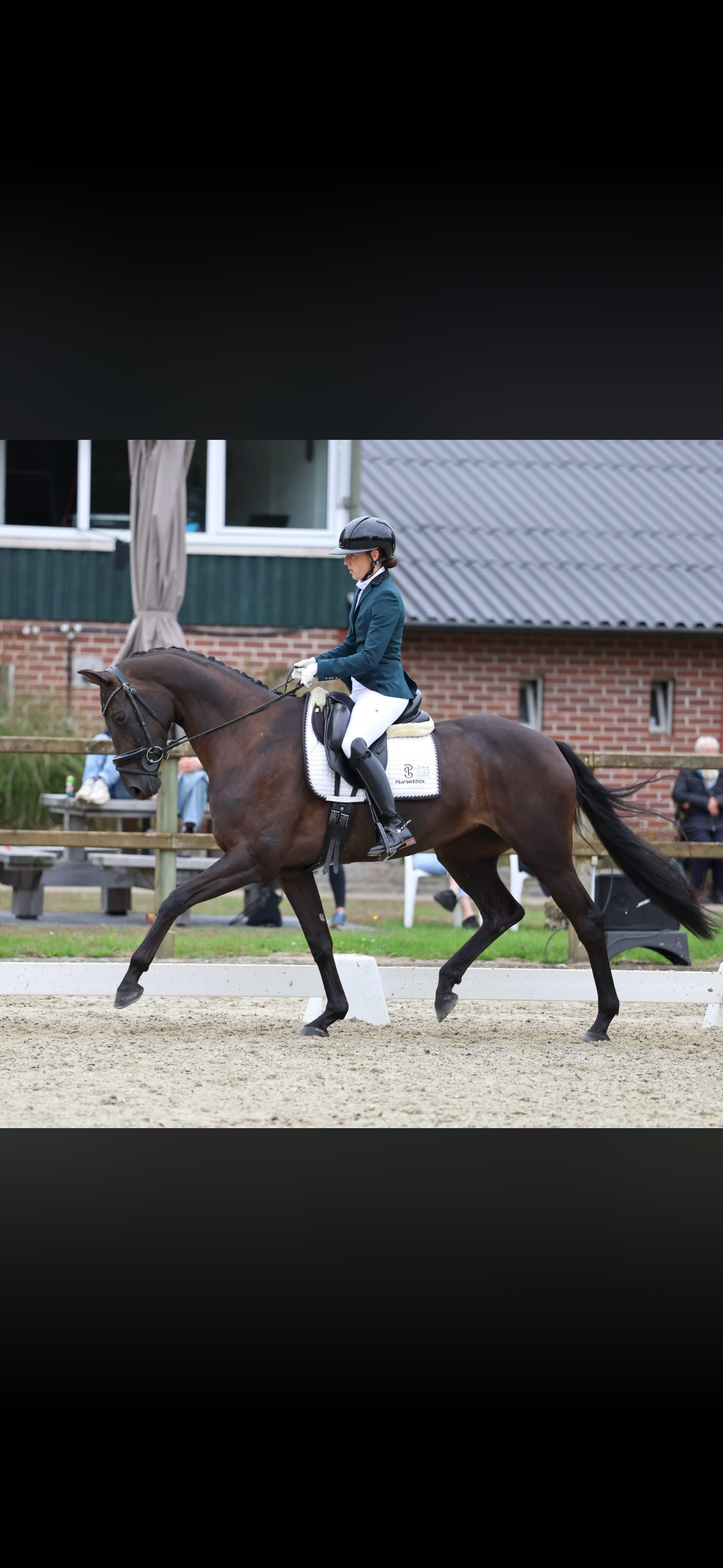 kwpn dressuurpaard merrie 5 år zwart till salu - Foto 2