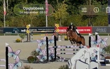 competitieve 6 jarige BWP merrie met reeds een mooi winnaars palmares tem 130