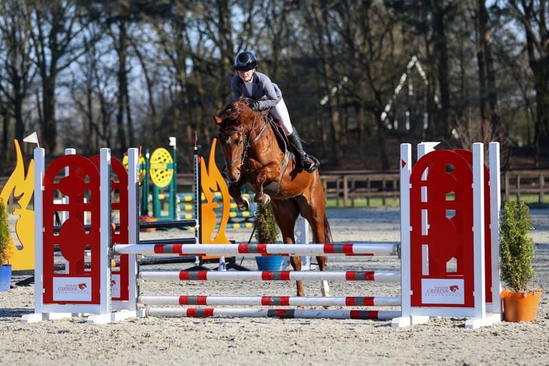 Enthousiaste 5 jarige merrie