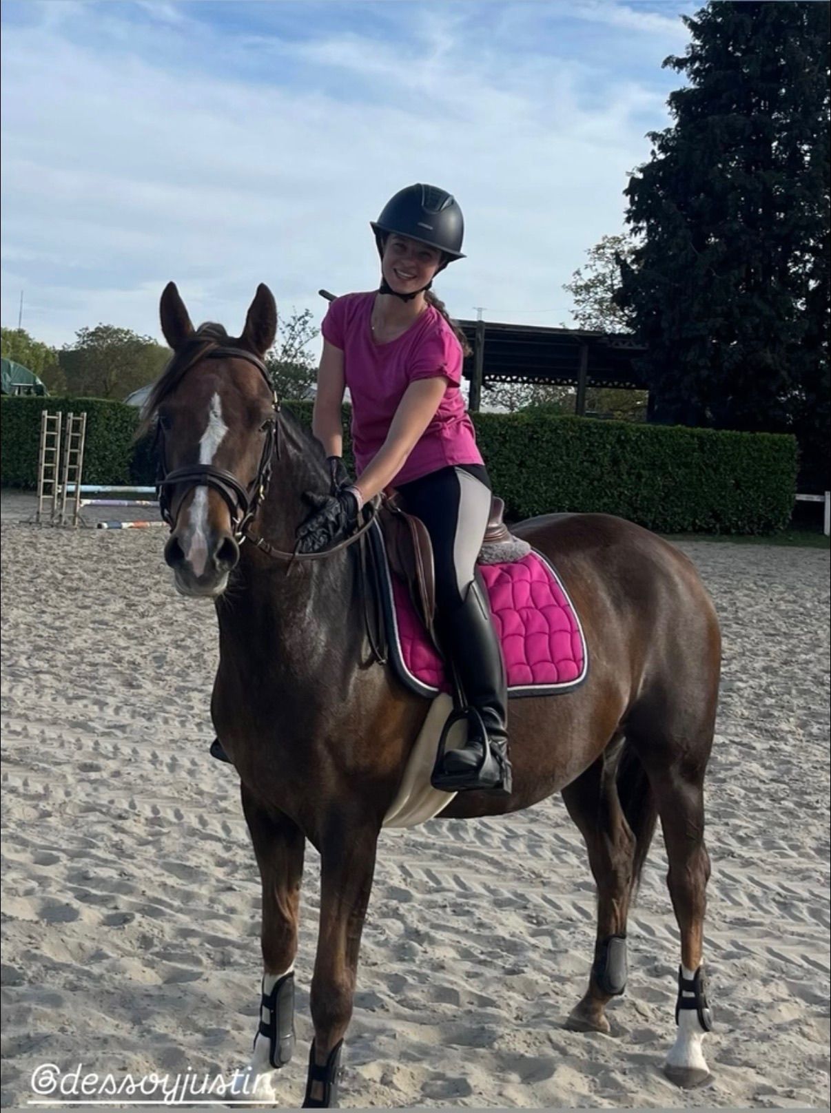 Jument Welsh 8 ans - Photo 3