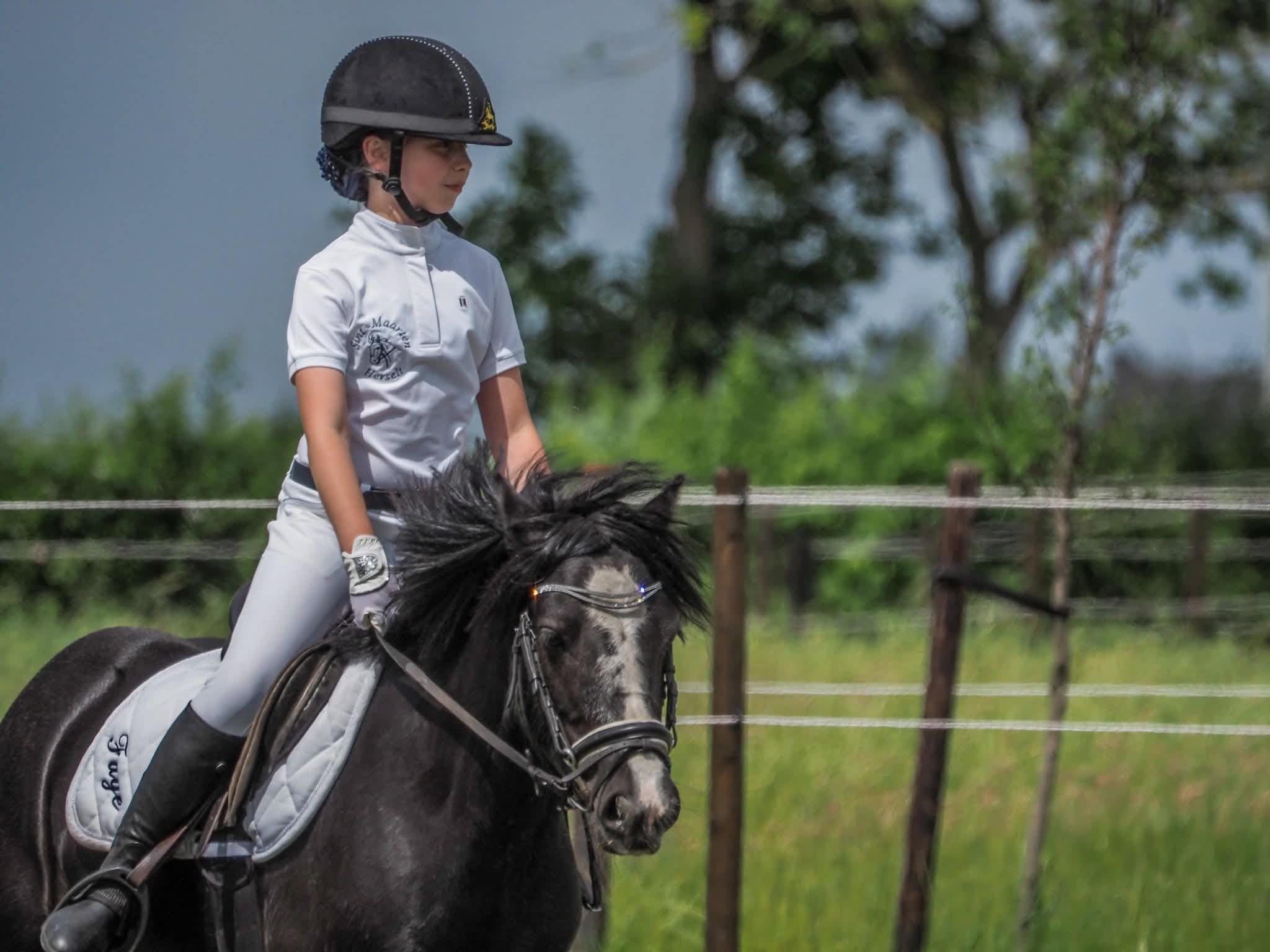 Super gentille poney C à vendre