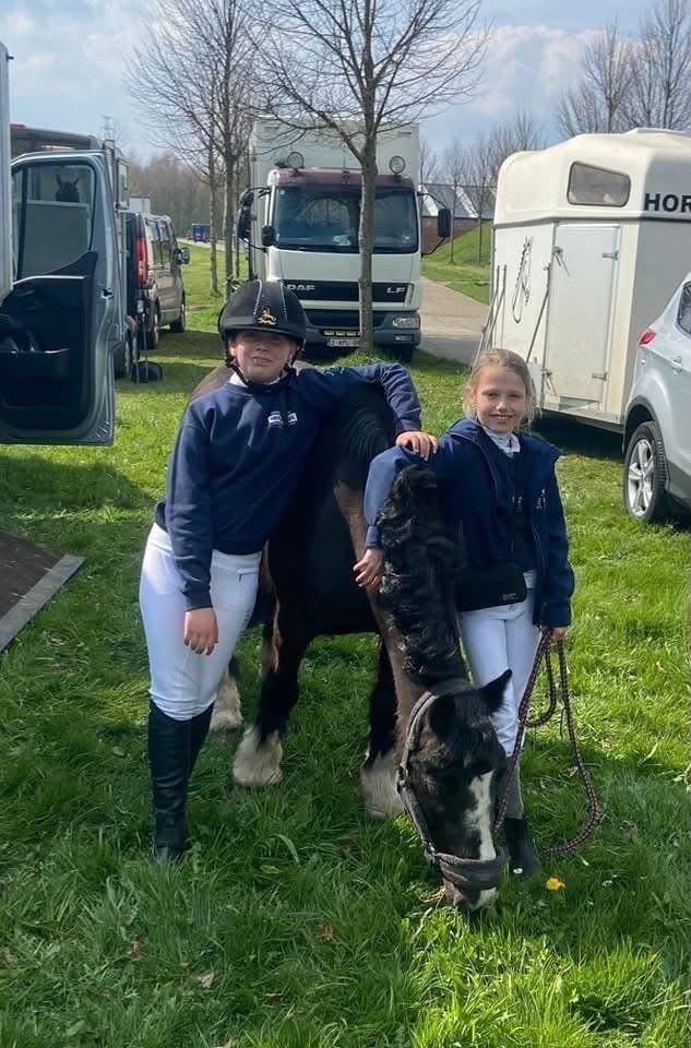 allround-pony merrie 12 år zwart till salu - Foto 2