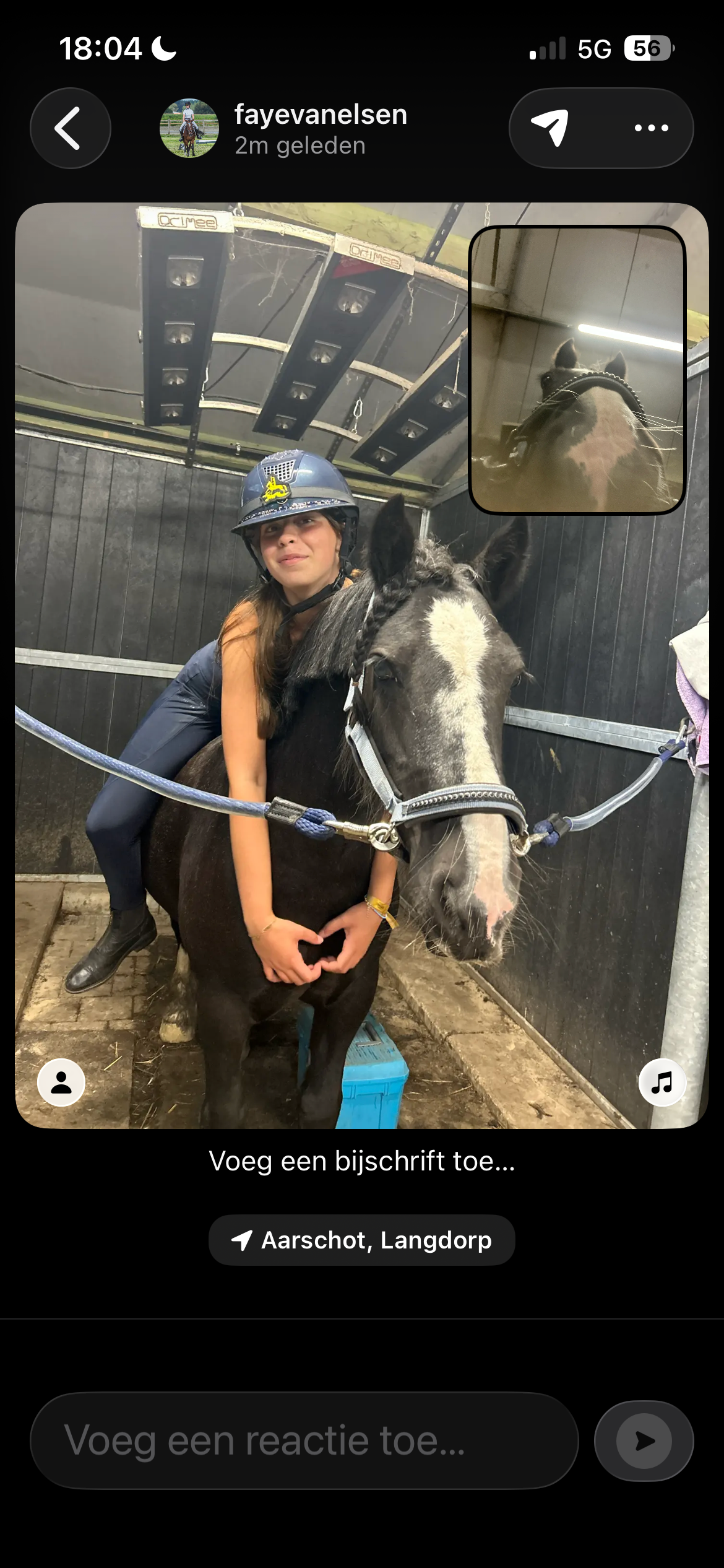 allround-pony merrie 12 år zwart till salu - Foto 5