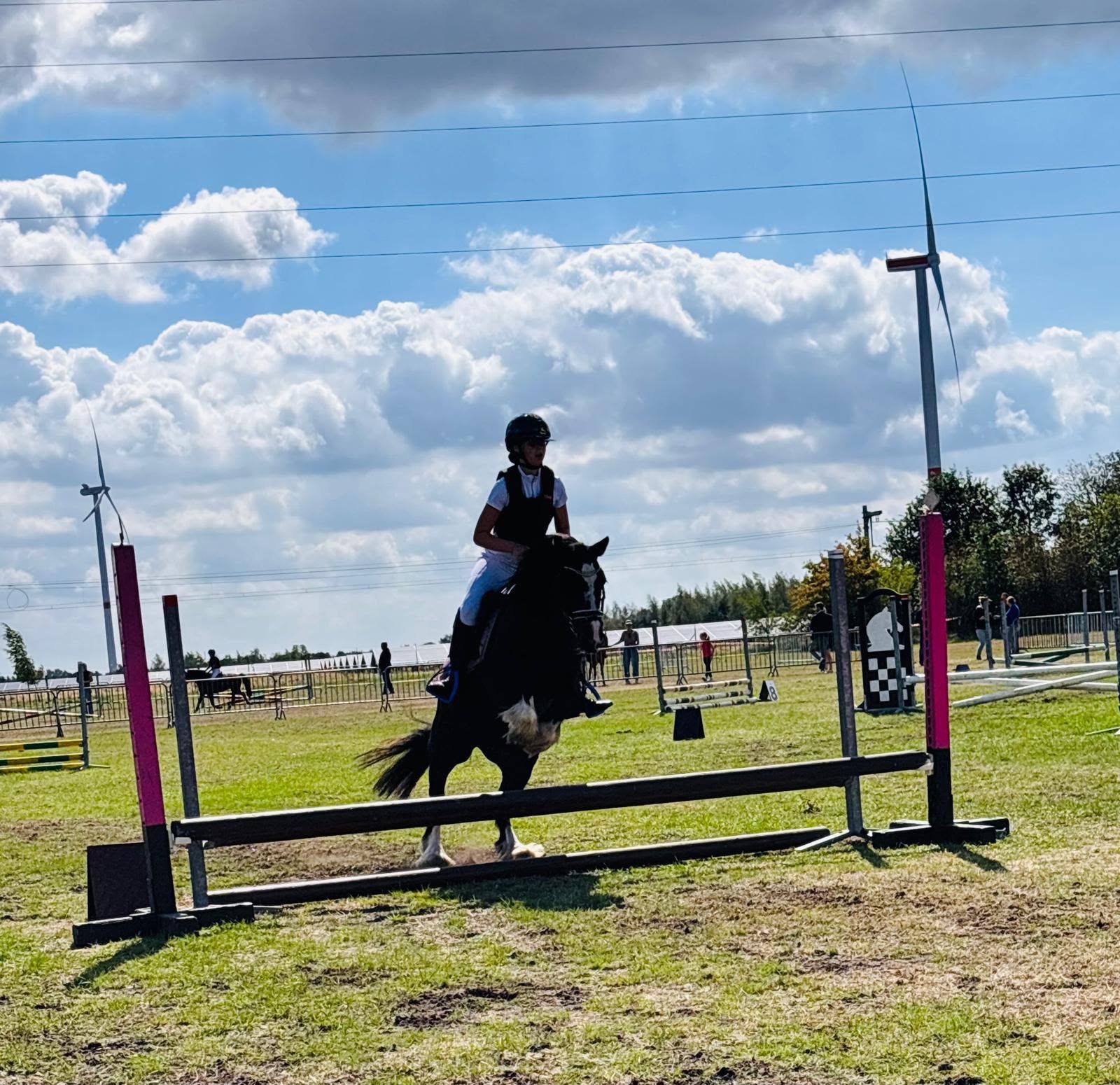 allround-pony merrie 12 år zwart till salu - Foto 6