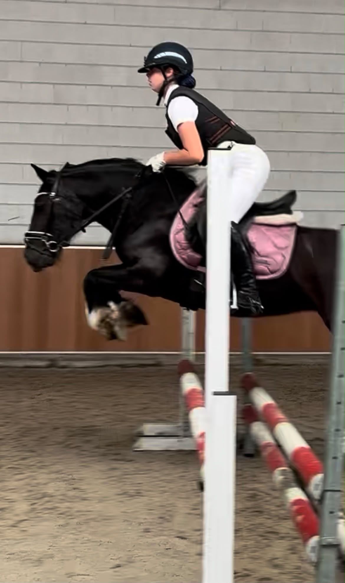 allround-pony merrie 12 år zwart till salu - Foto 3