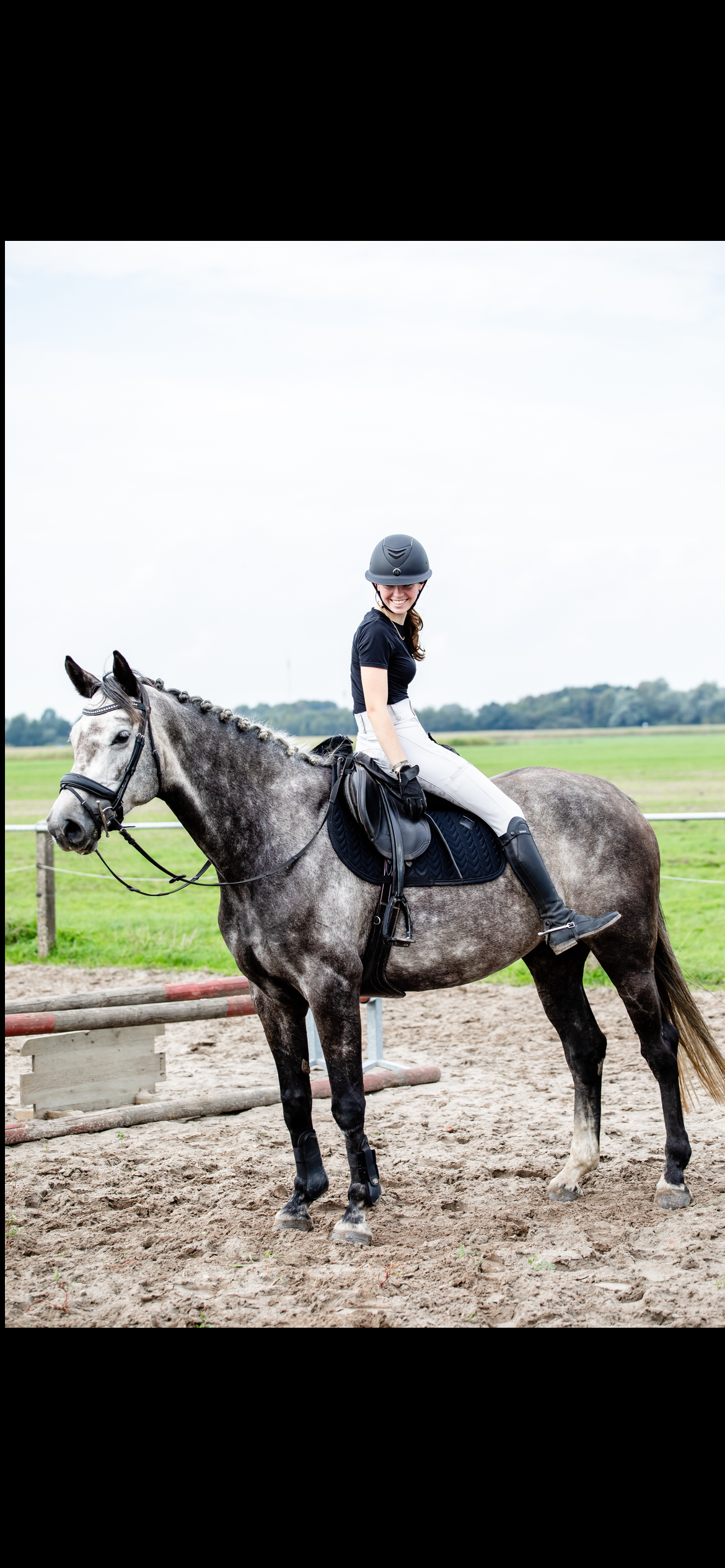 anglo-europees allrounder merrie 5 år schimmel till salu - Foto 5