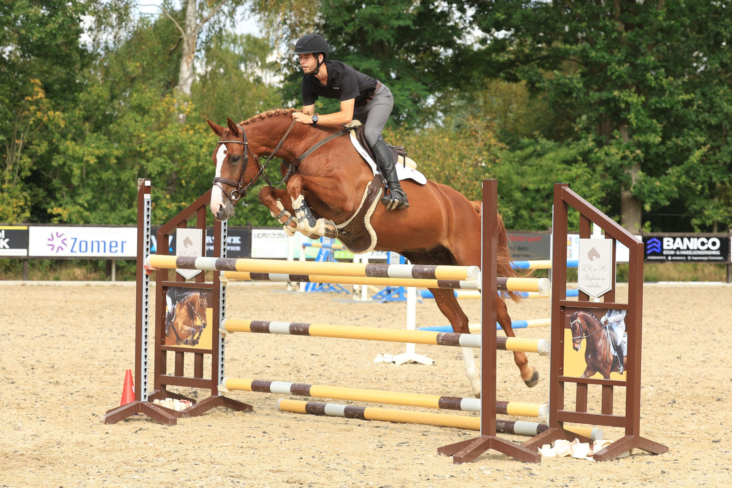 ander springpaard merrie 10 jaar vos te koop - Foto 4