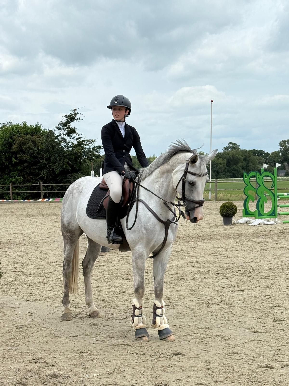 Brave allround merrie met fijn karakter