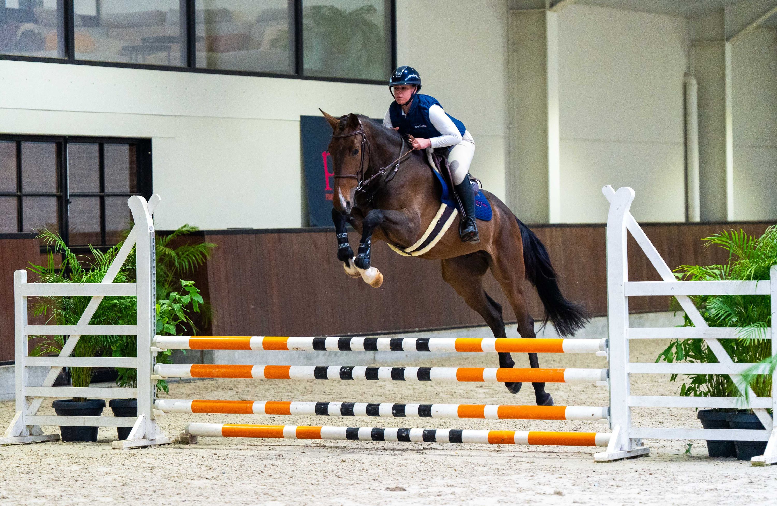 springpaard ruin 8 años en venta - Foto 4