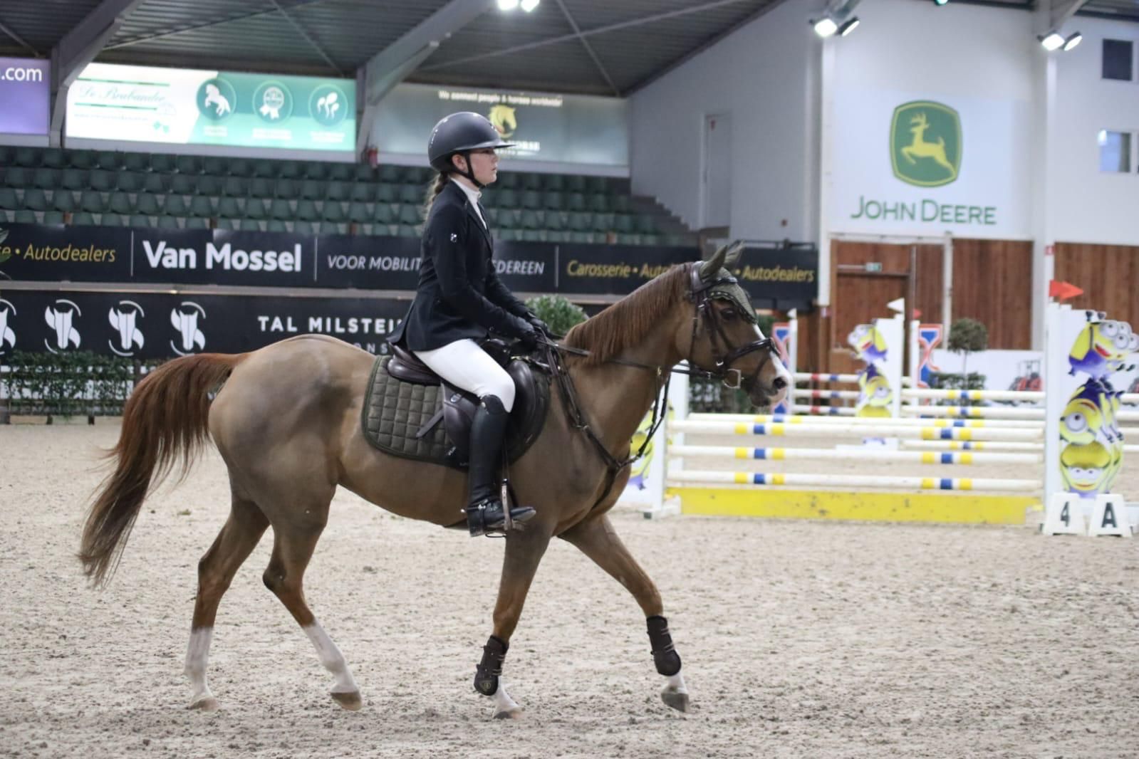 welsh allround-pony merrie 21 سنوات vos للبيع - صورة 3