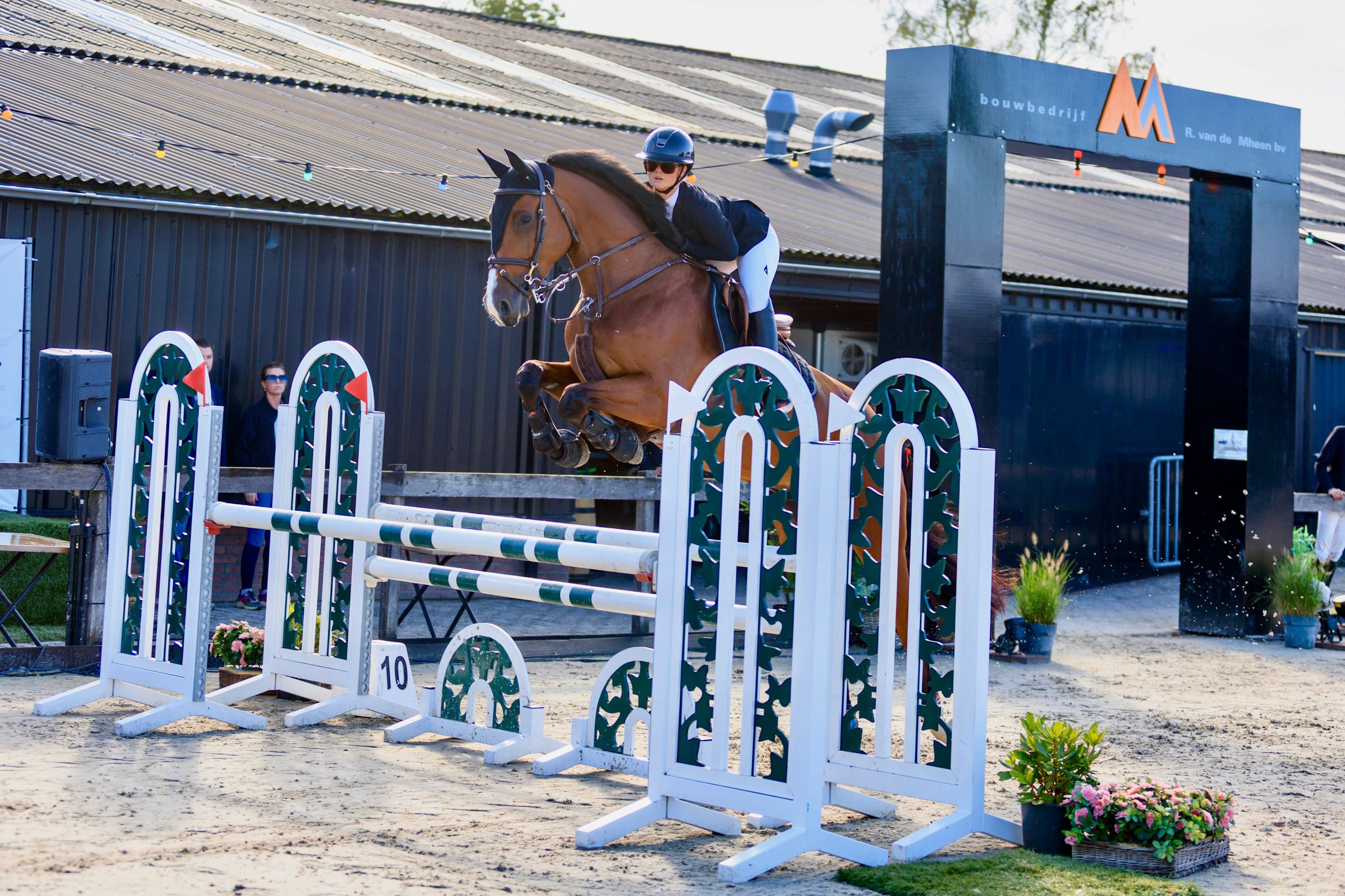 6-year-old showjumper 1.10