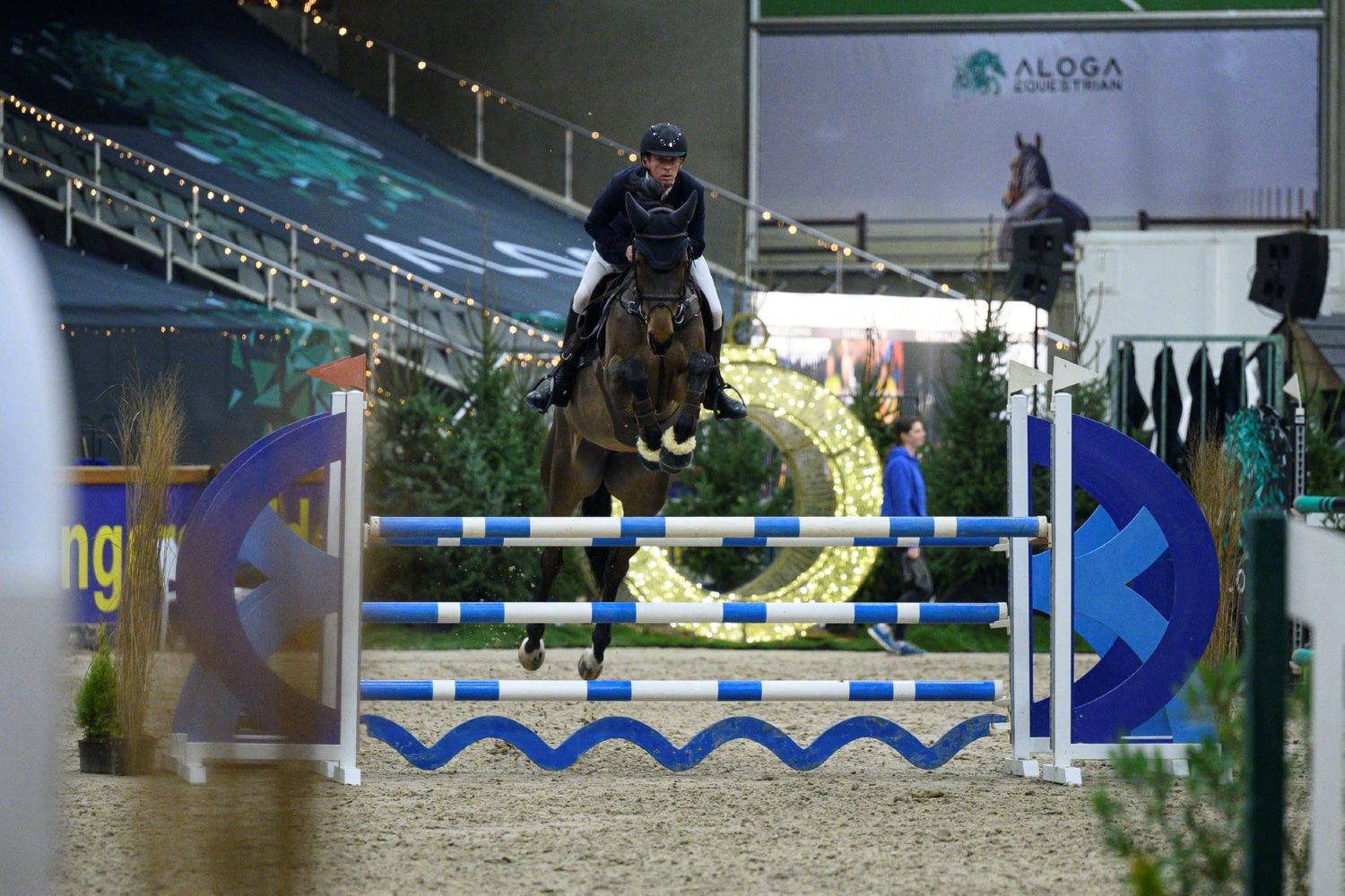 SUZY VD BISSCHOP – BLOEDMOOIE 8-JARIGE SPORTMERRIE MET TOPPEDIGREE