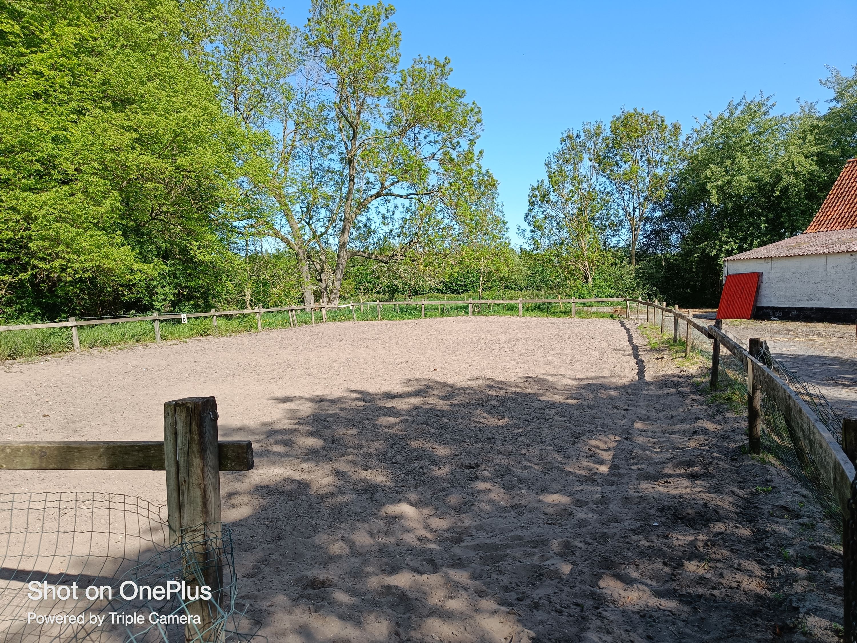 WEIDE / STAL TE HUUR  - Foto 6
