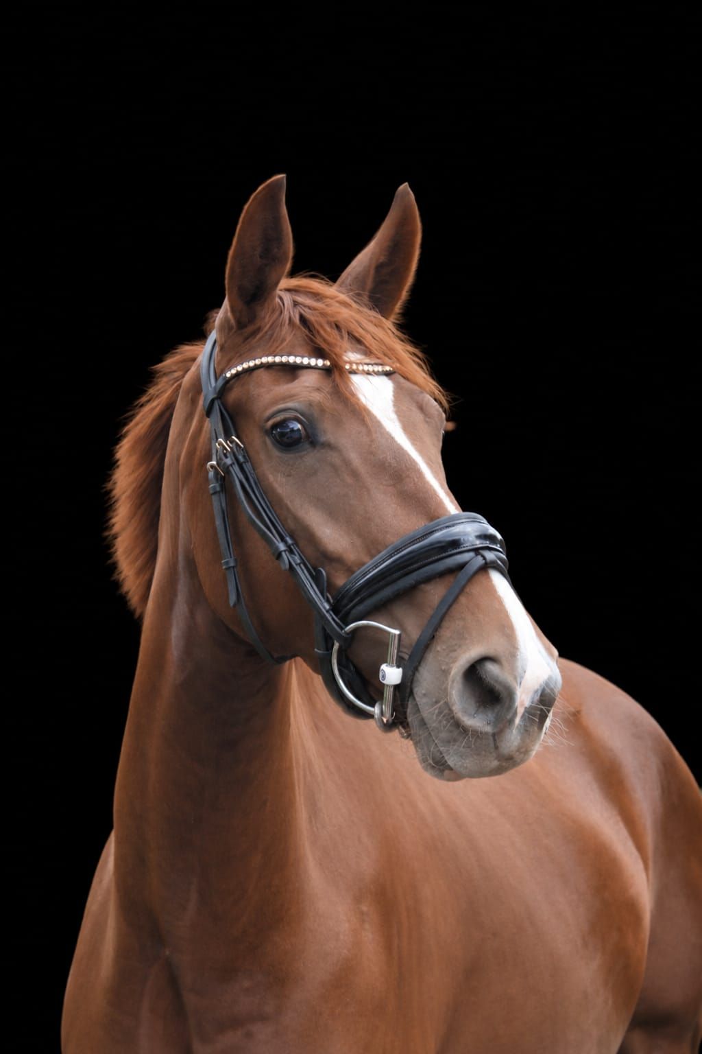 kwpn dressuurpaard merrie 3 años vos en venta - Foto 2