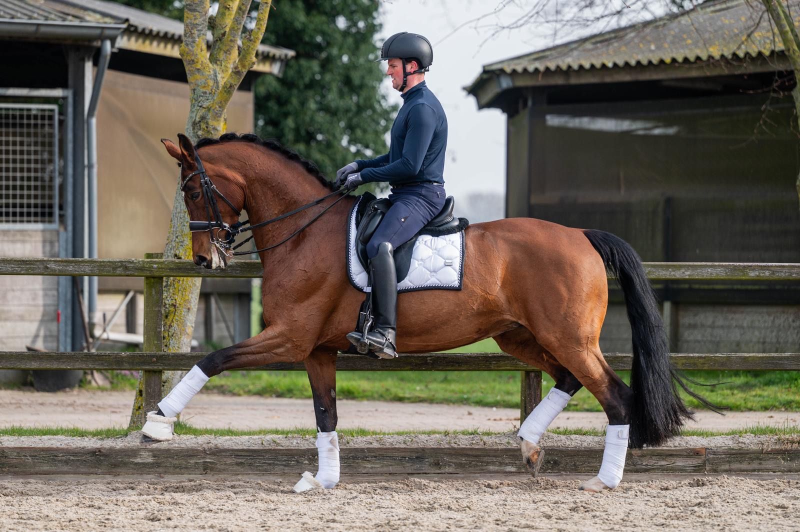Intermediaire II- merrie v Stedinger (x Royal Dance)