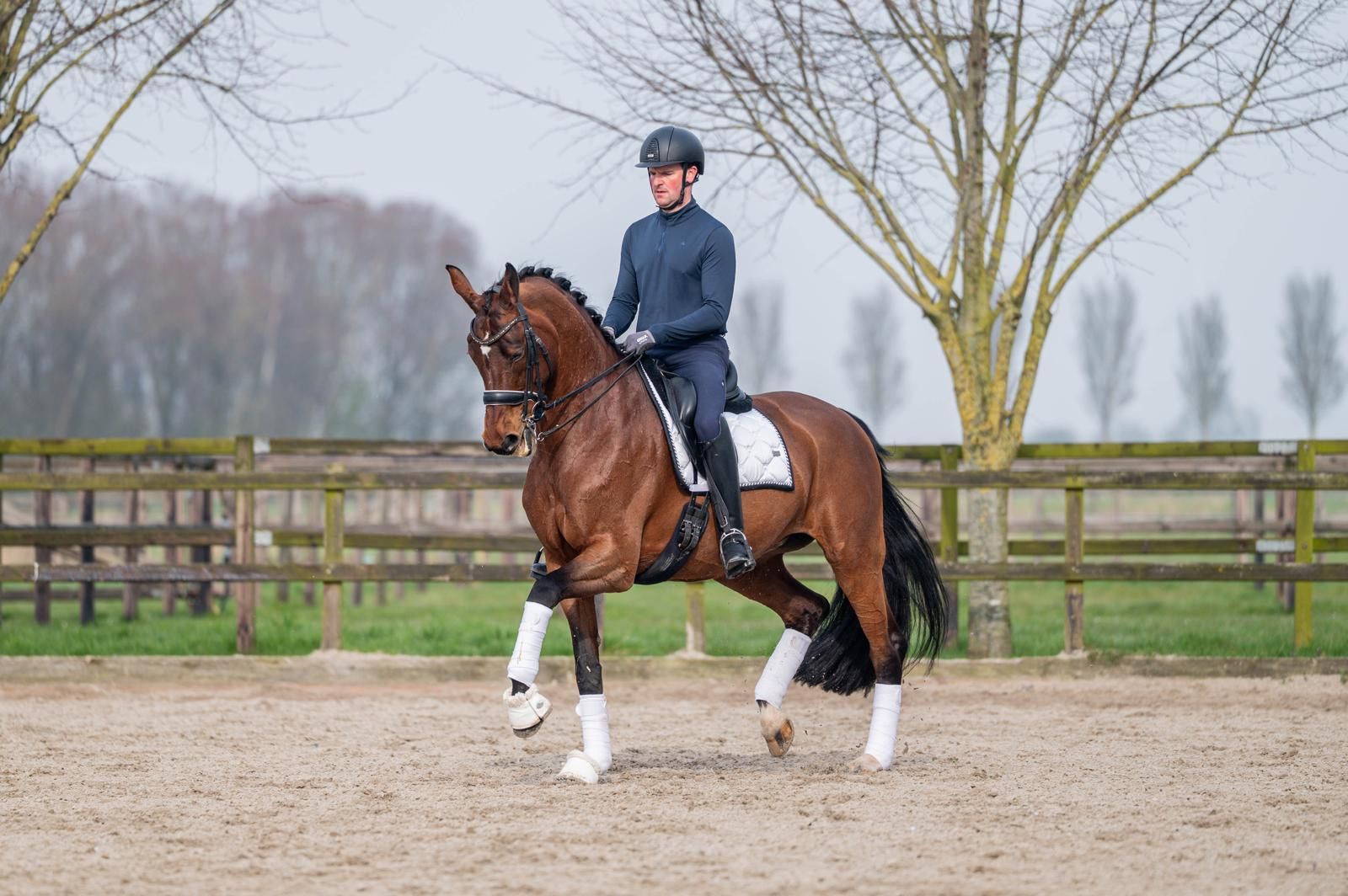 kwpn dressuurpaard merrie 15 ani bruin de vânzare - Foto 3