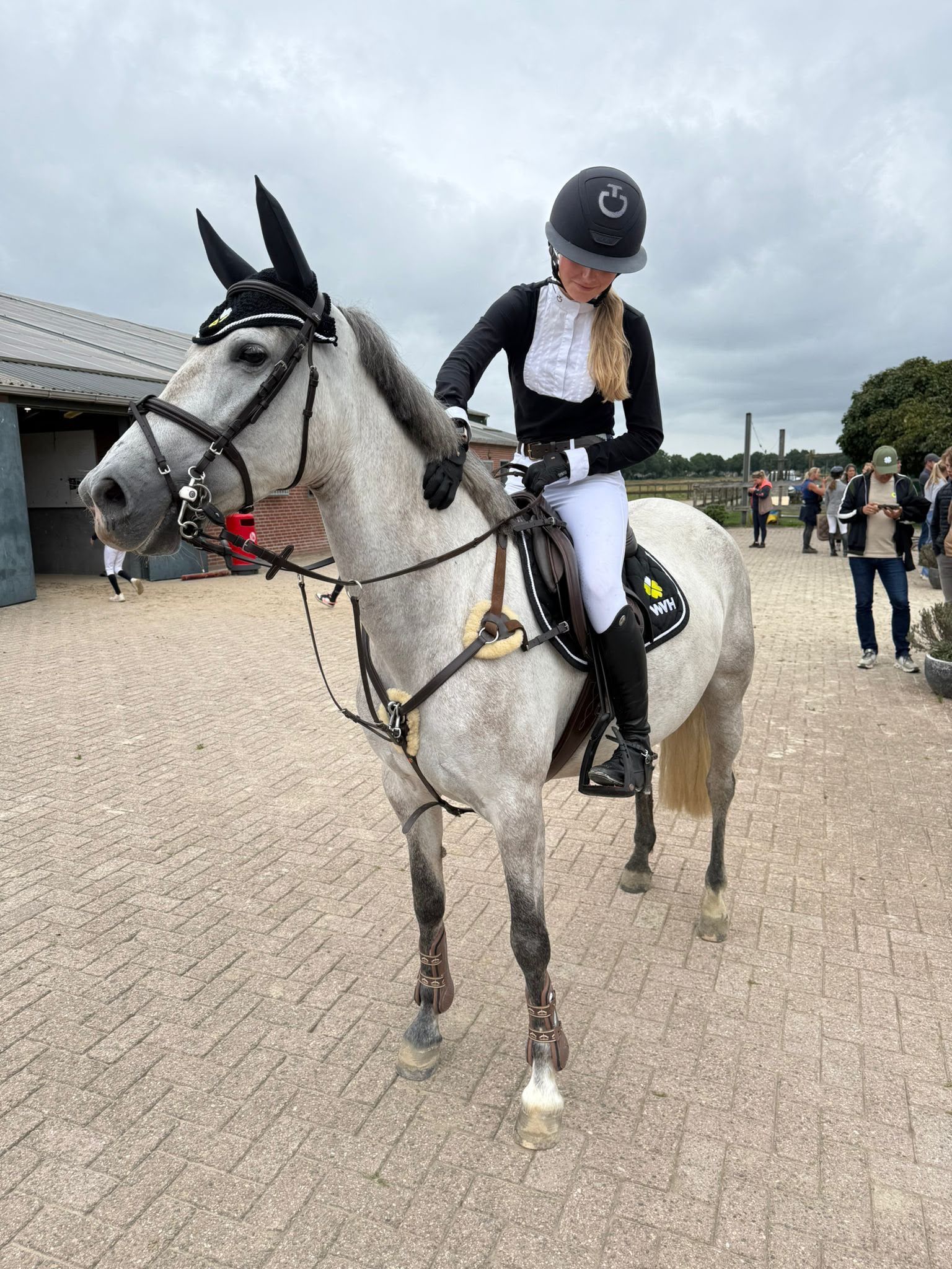 springpony merrie 7 år schimmel till salu - Foto 6